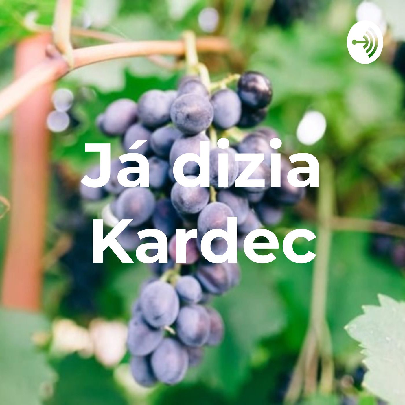 Já dizia Kardec
