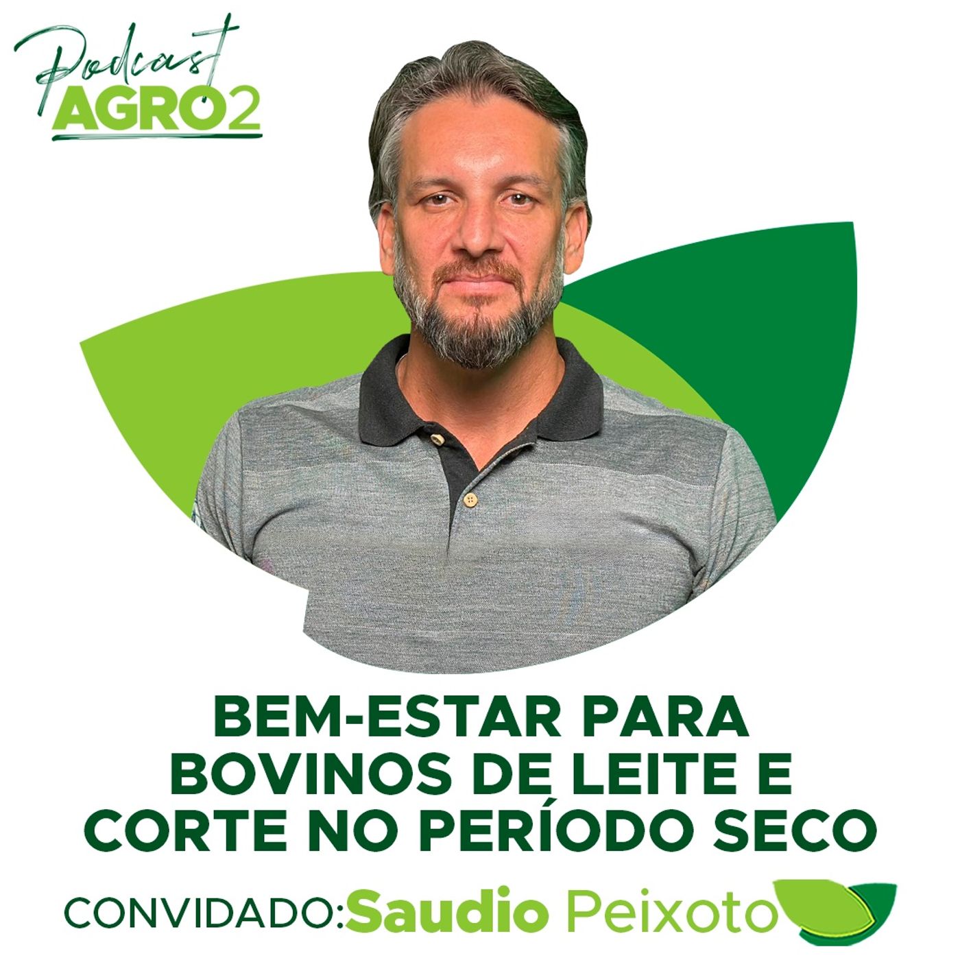 Como garantir bem-estar, conforto térmico e nutricional a bovinos de leite e corte na seca #321 episode artwork
