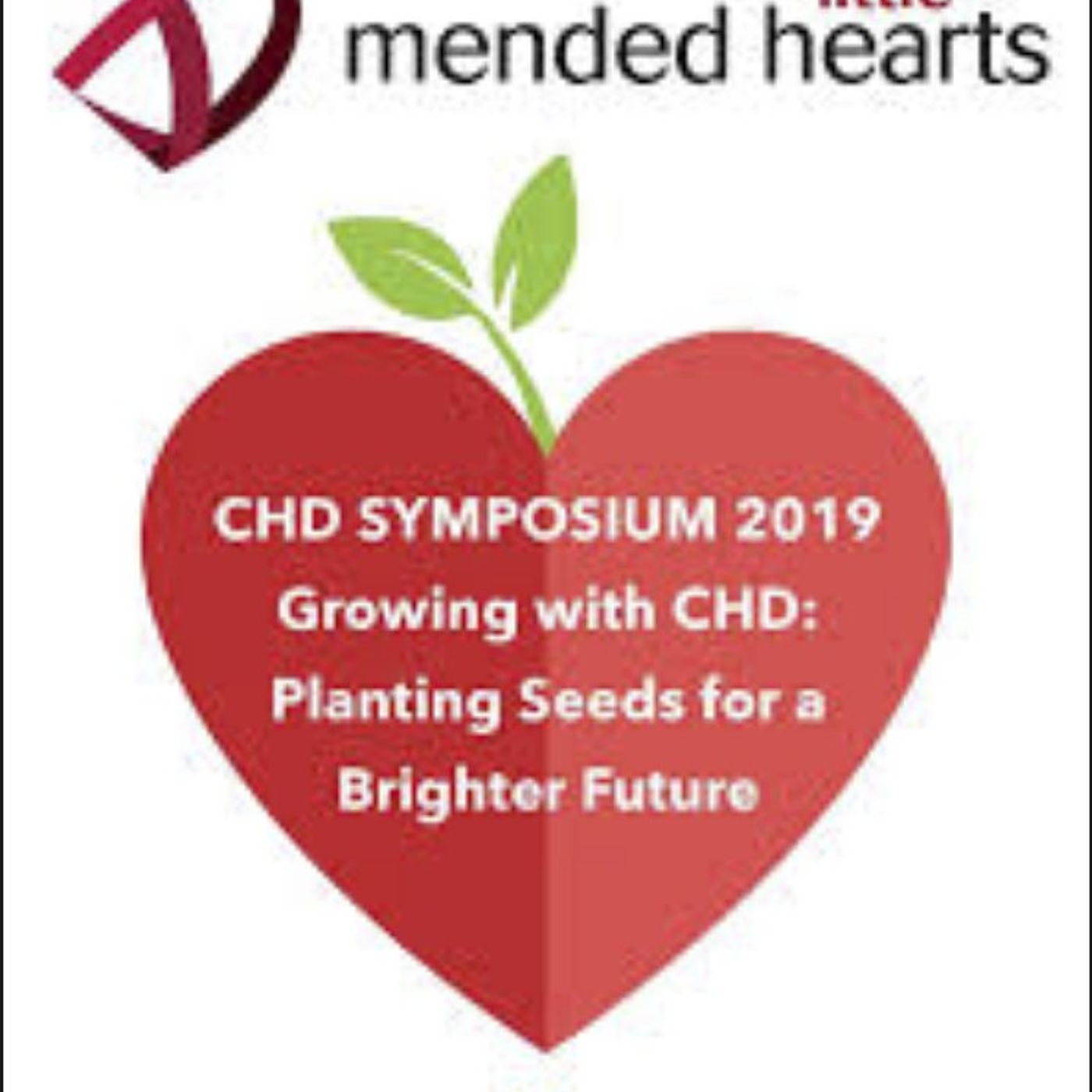 2019 Mended Little Hearts Symposium and Leadership Summit with Jodi Smith! episode artwork