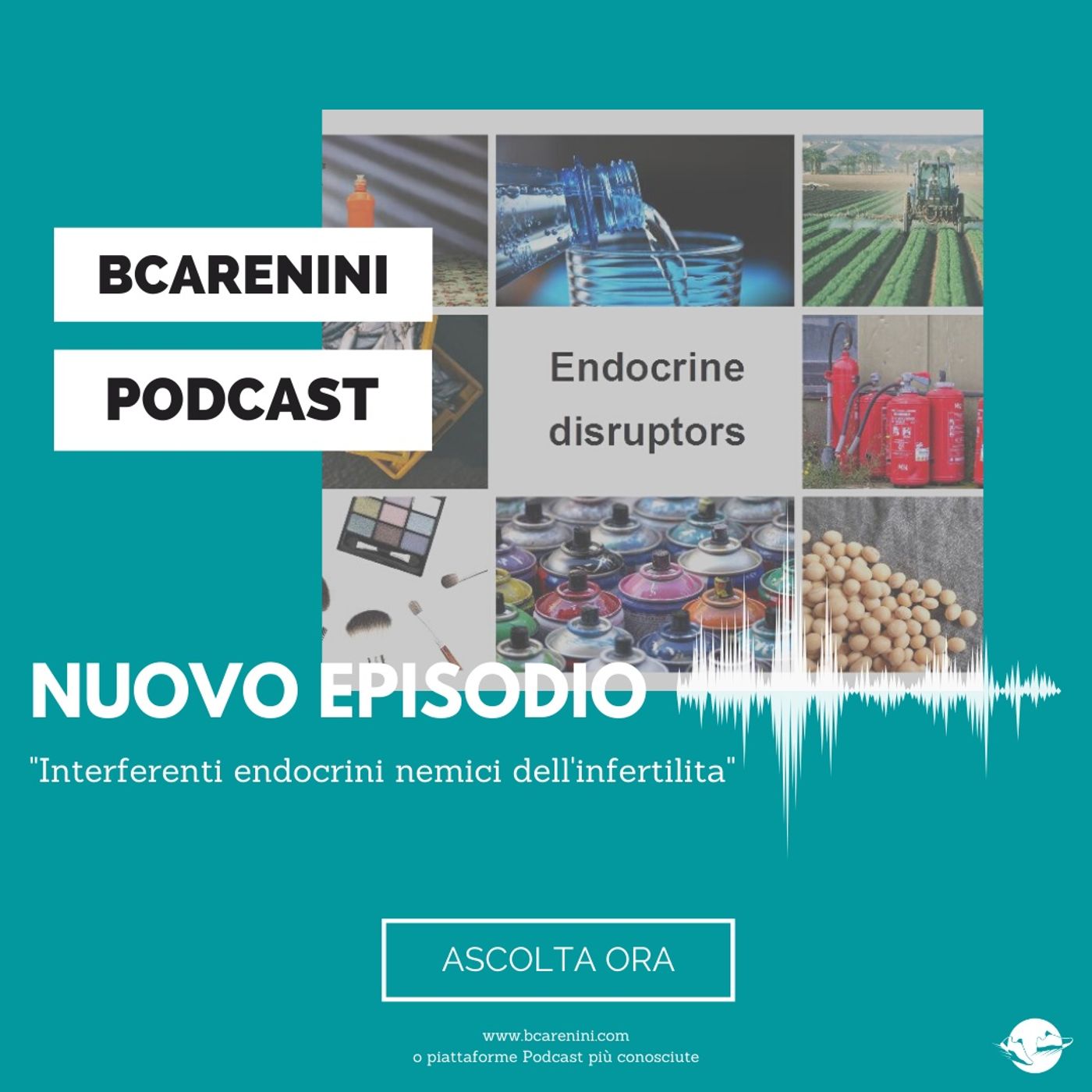bcarenini