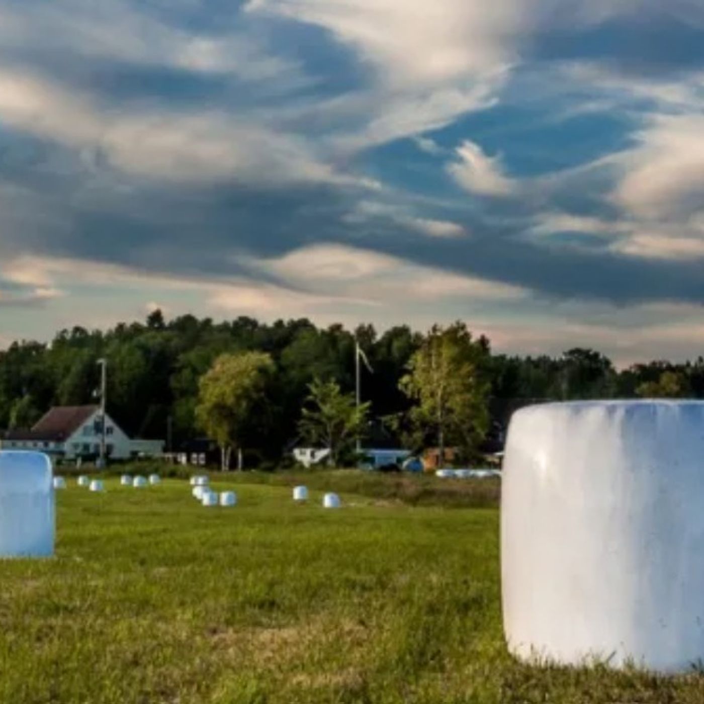 The Silage Plastic Podcast