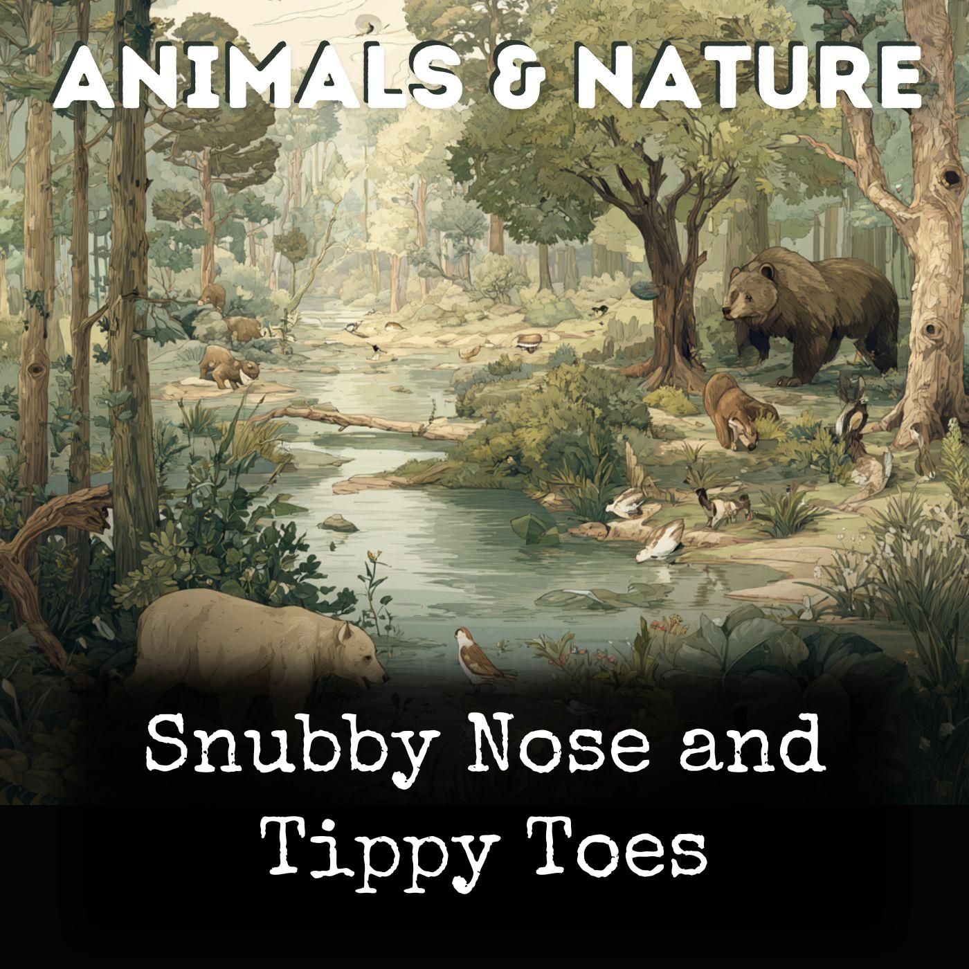 Snubby Nose and Tippy Toes cover art