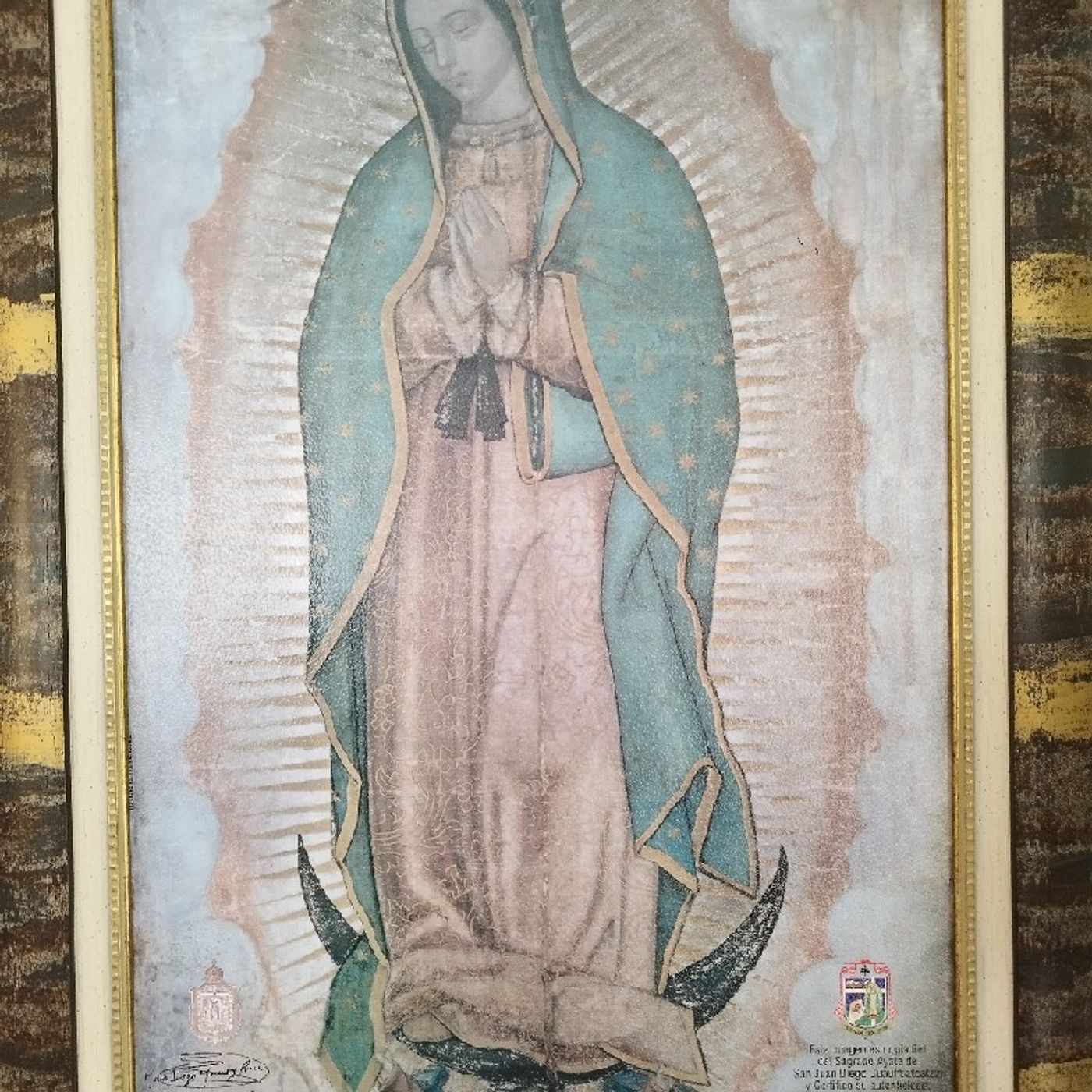 Meditaciones Y Homilías