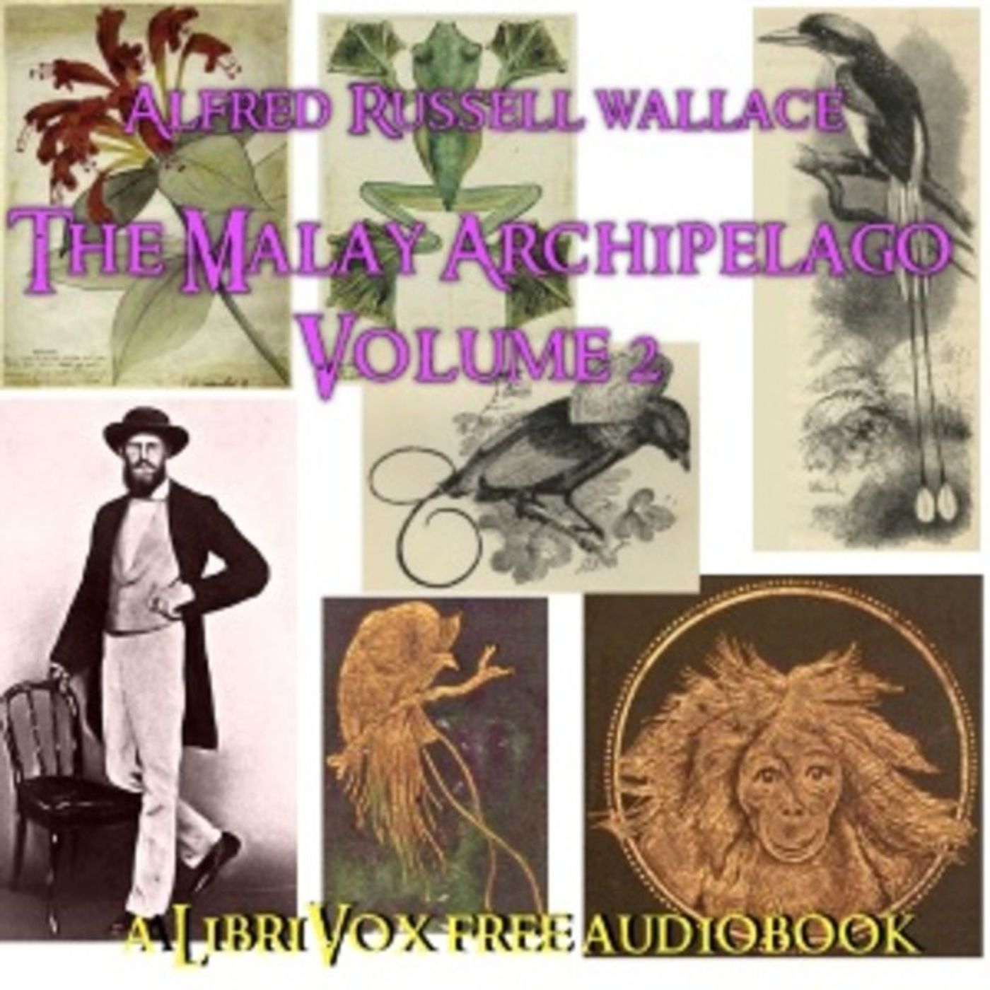 001 - The MoluccasTernate episode artwork