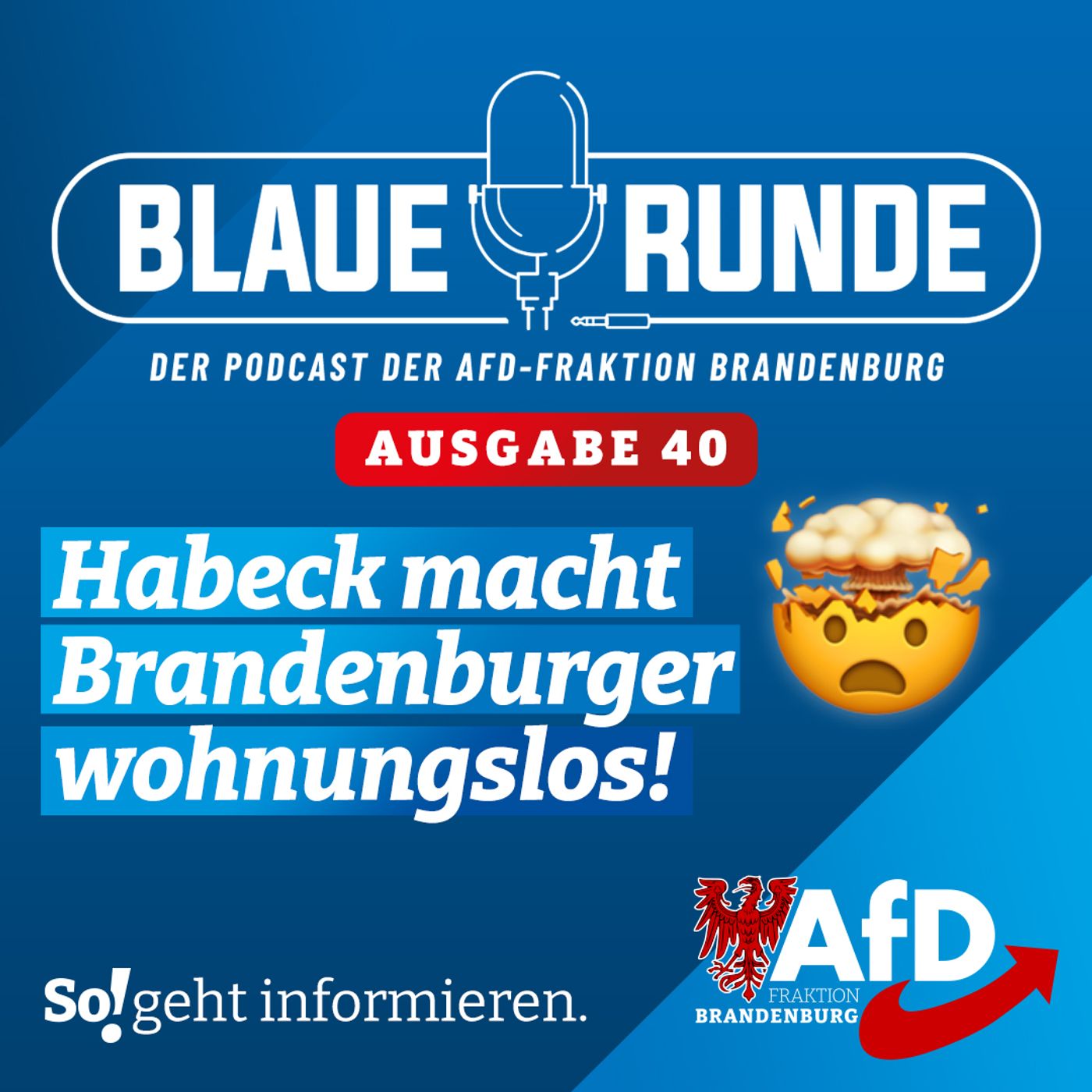 Habeck macht Brandenburger wohnungslos! | Die Blaue Runde, Ausgabe 40/23 vom 20. April 2023 episode artwork