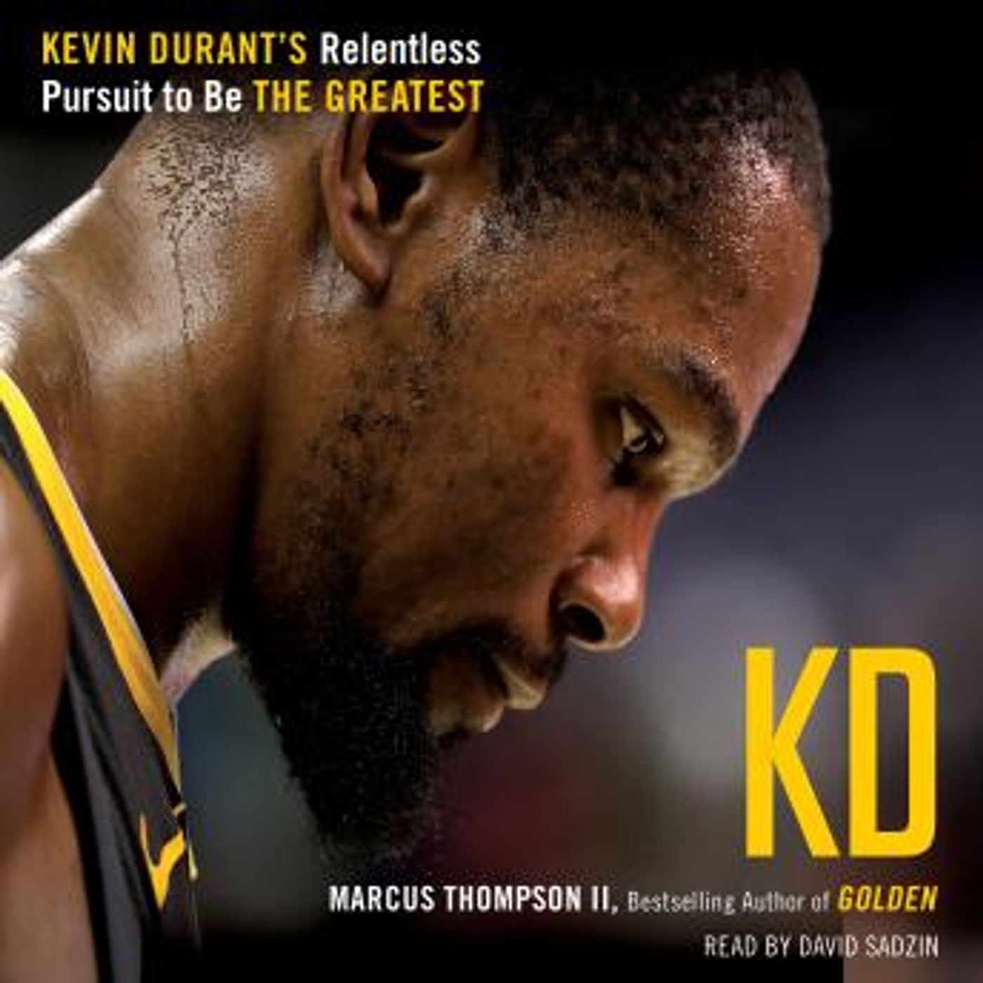 Stream Popular Full Audiobooks in Biography & Memoir, Arts & Entertainment