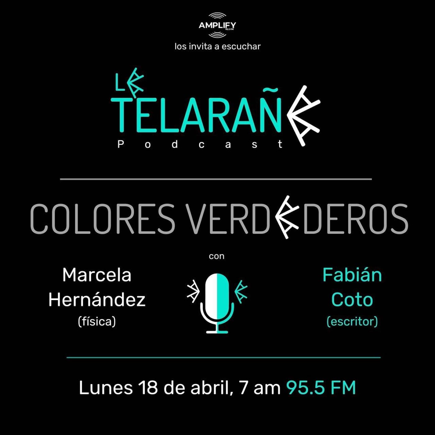 Portada de La Telaraña