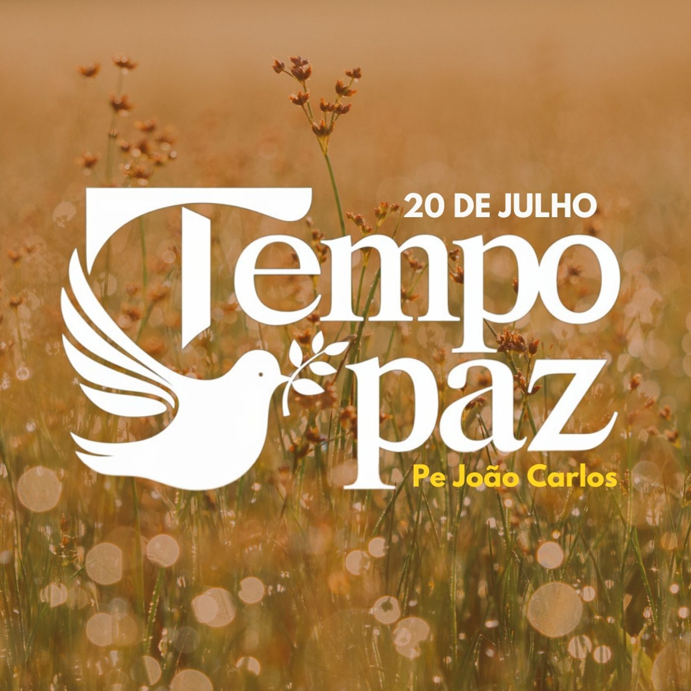 Pe. João Carlos - Meditação da Palavra