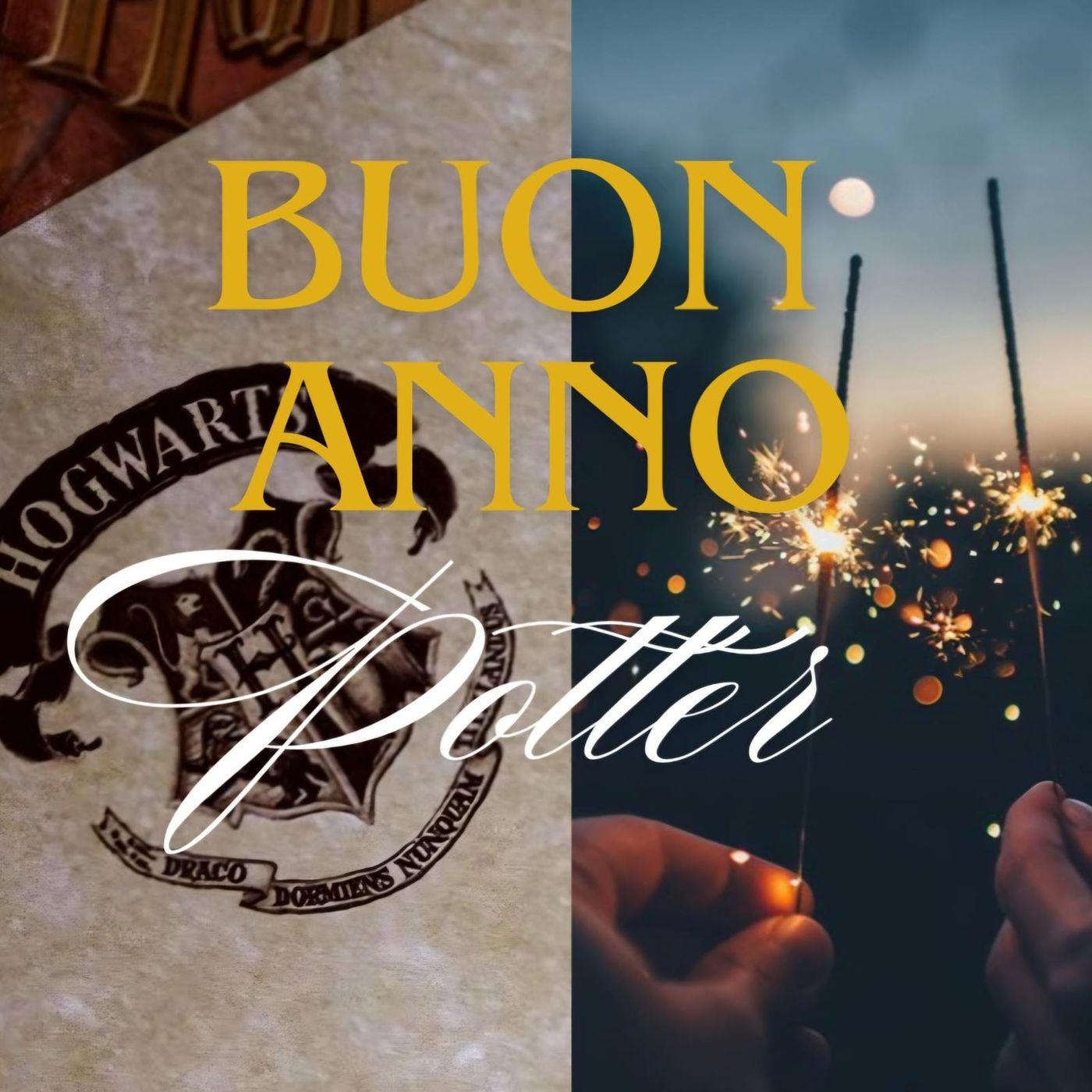 #Torino Buon anno Potter
