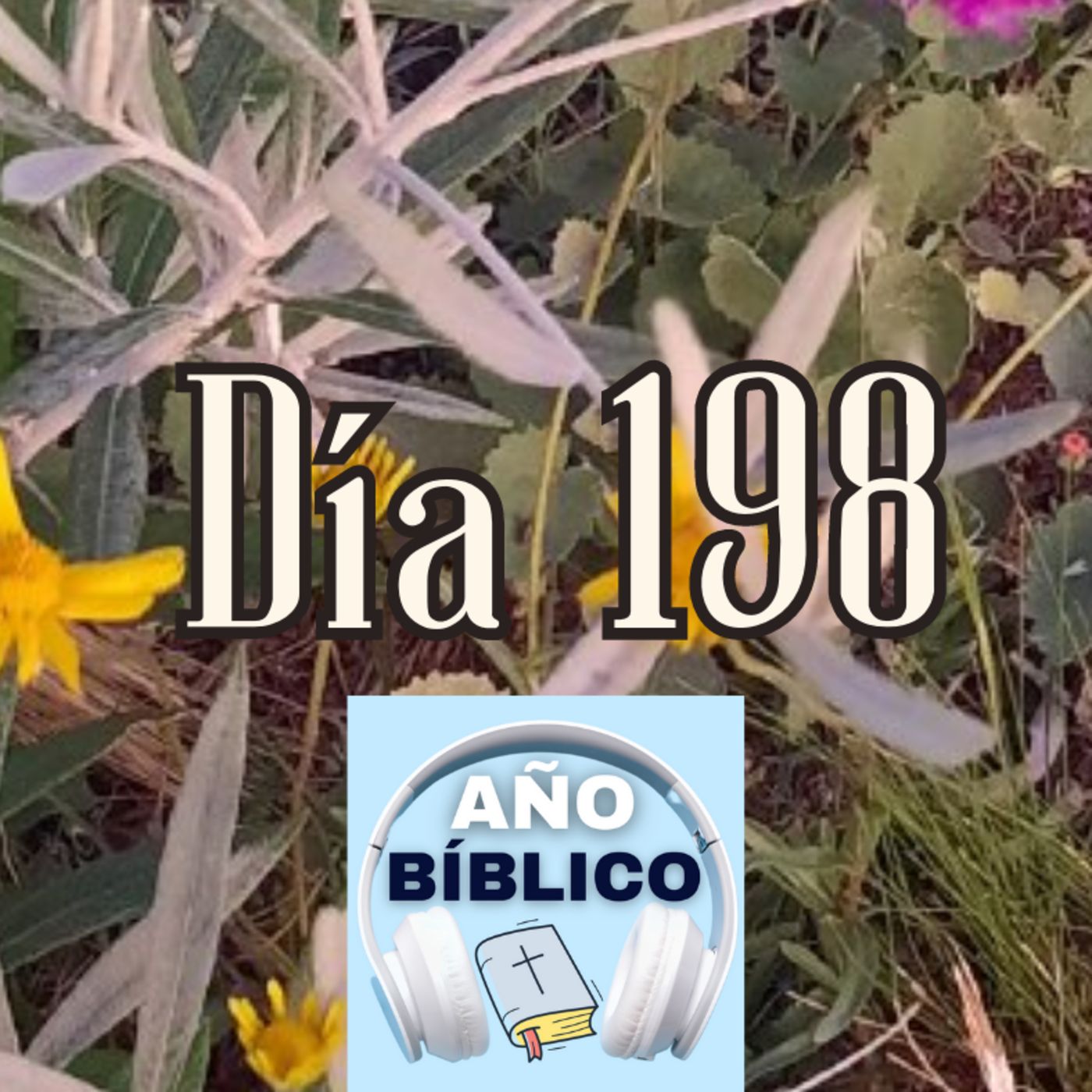 Día 198 - Salmos 81:13-16, 2 Crónicas 24:15-27; 2 Crónicas 25 y Romanos 12 episode artwork