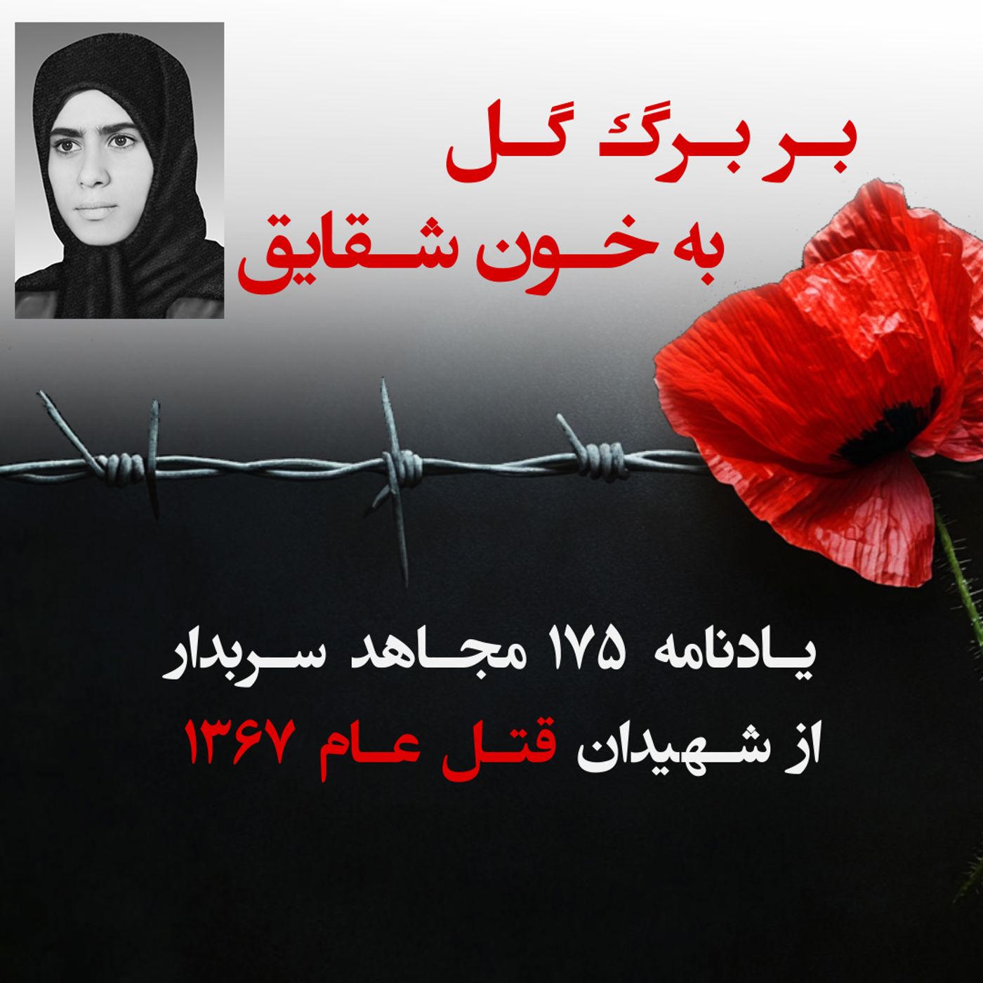 بربرگ گل به خون شقایق - فرح اسلامی