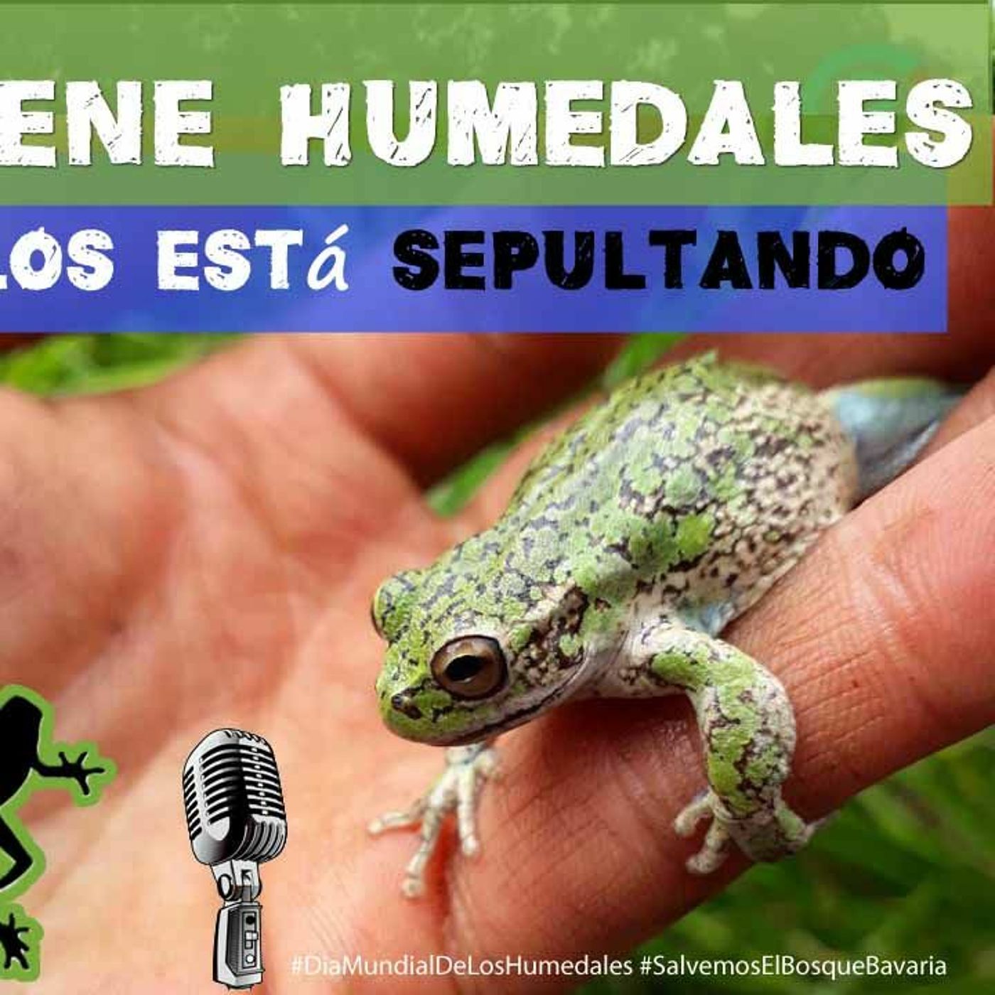 Bogotá tiene humedales y la Alcaldía los está sepultando ¿porqué? #LaChucuaPodcast​ Edición 10