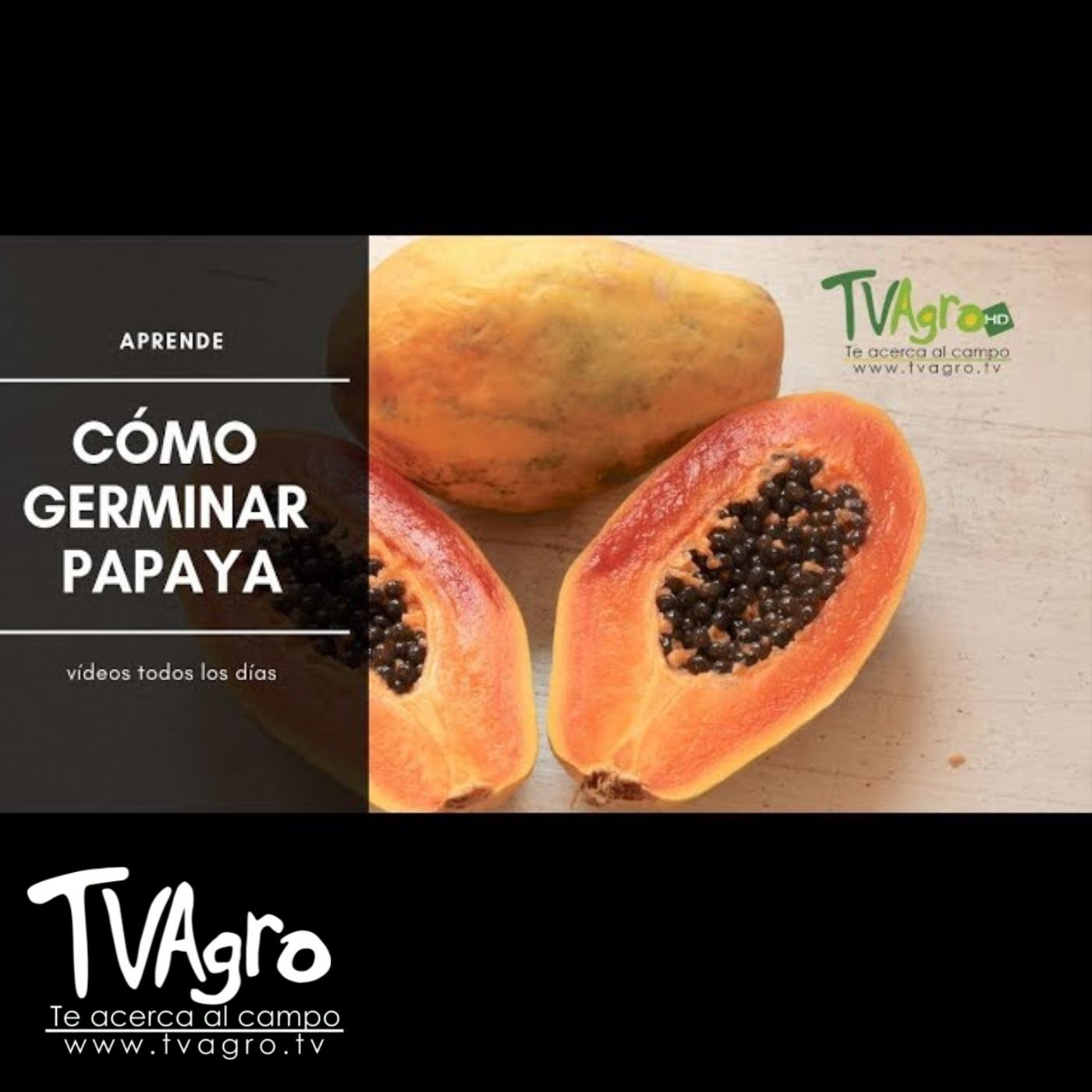 TV AGRO