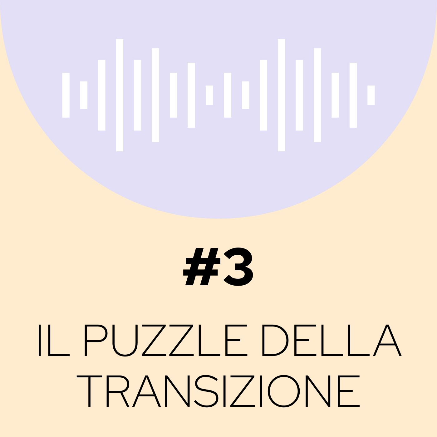 3 - Il "puzzle" della transizione episode artwork