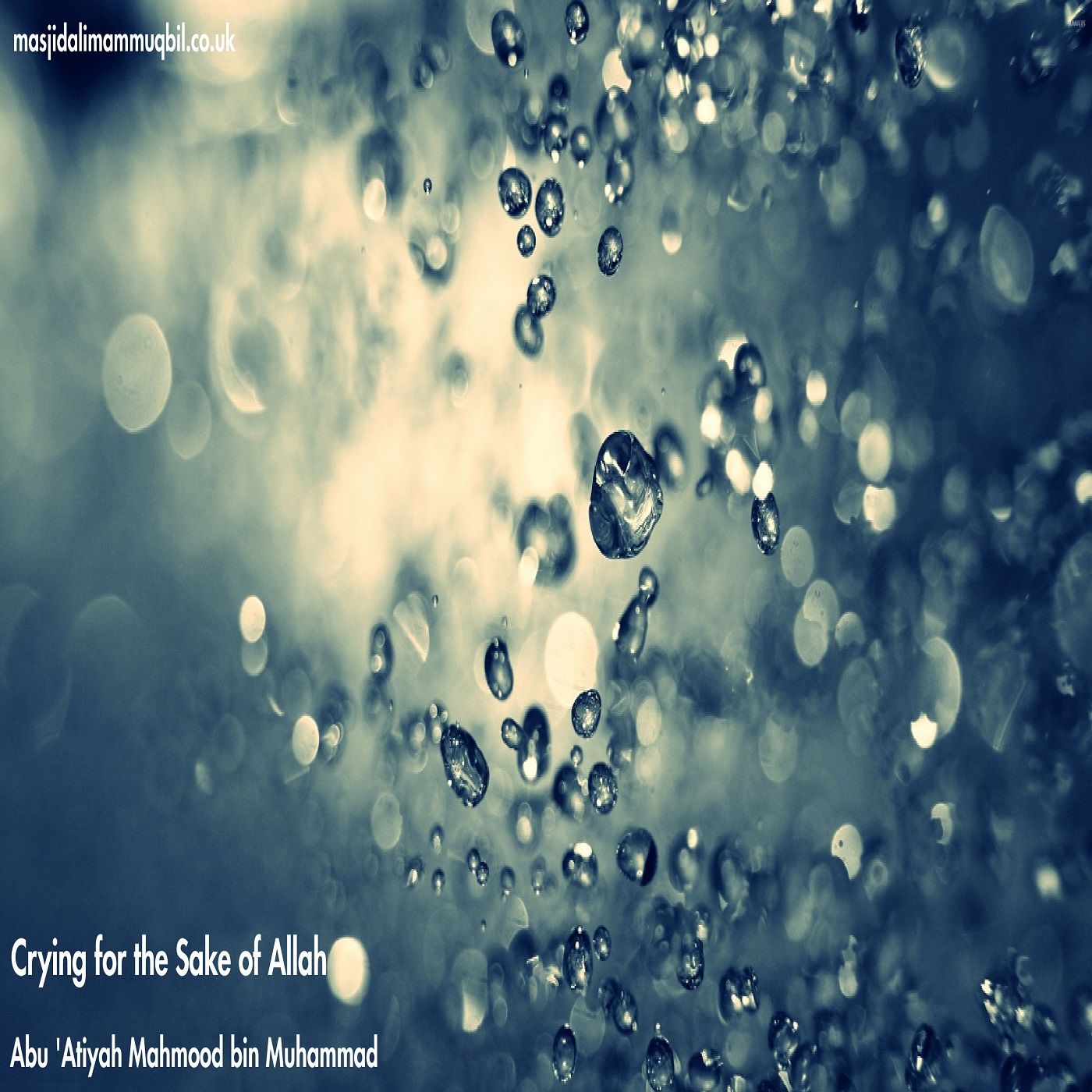Crying for the Sake of Allah | Abu 'Atiyah Mahmoud bin Muhammad episode artwork