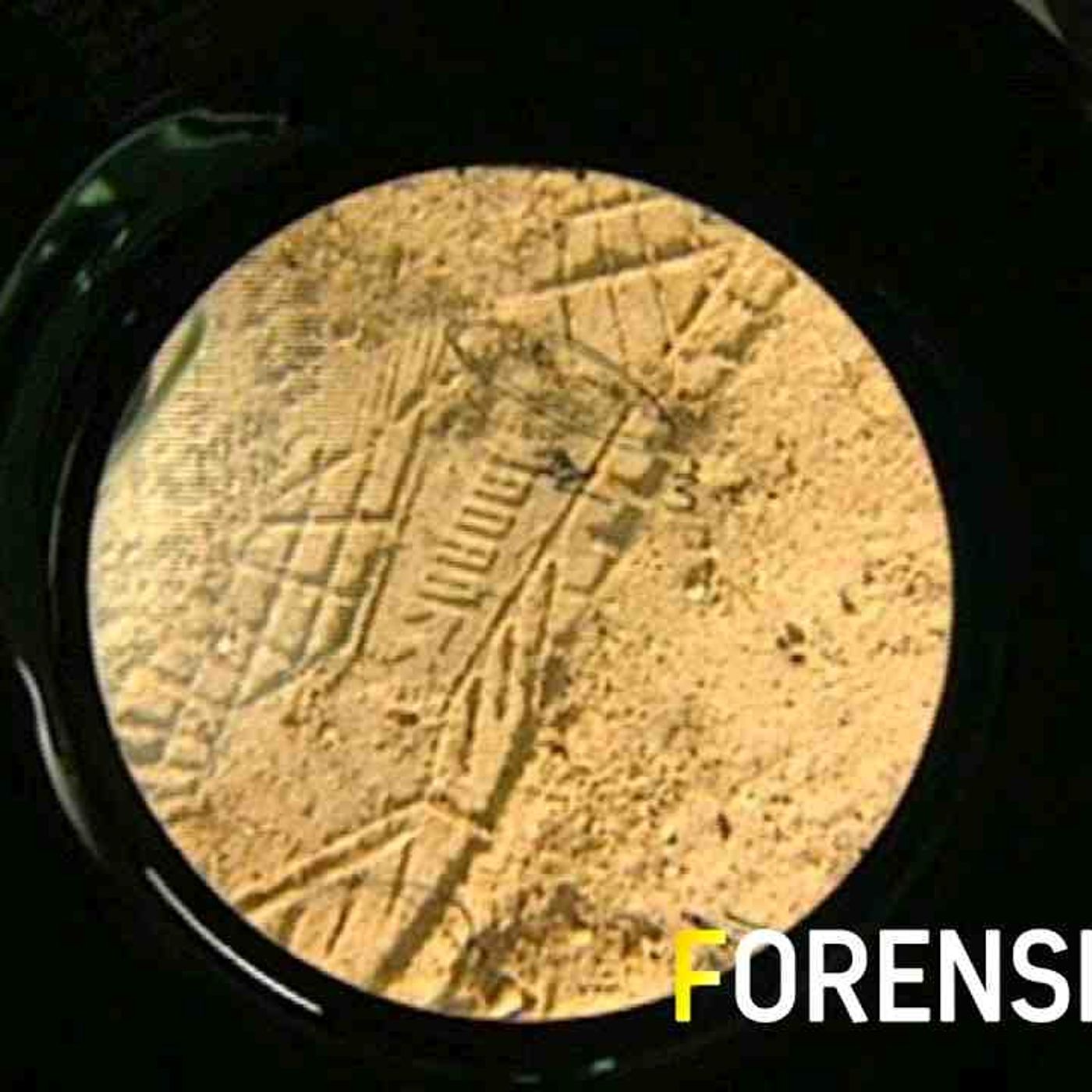 Forensic Files - Weakest Link - Full Episode episode artwork