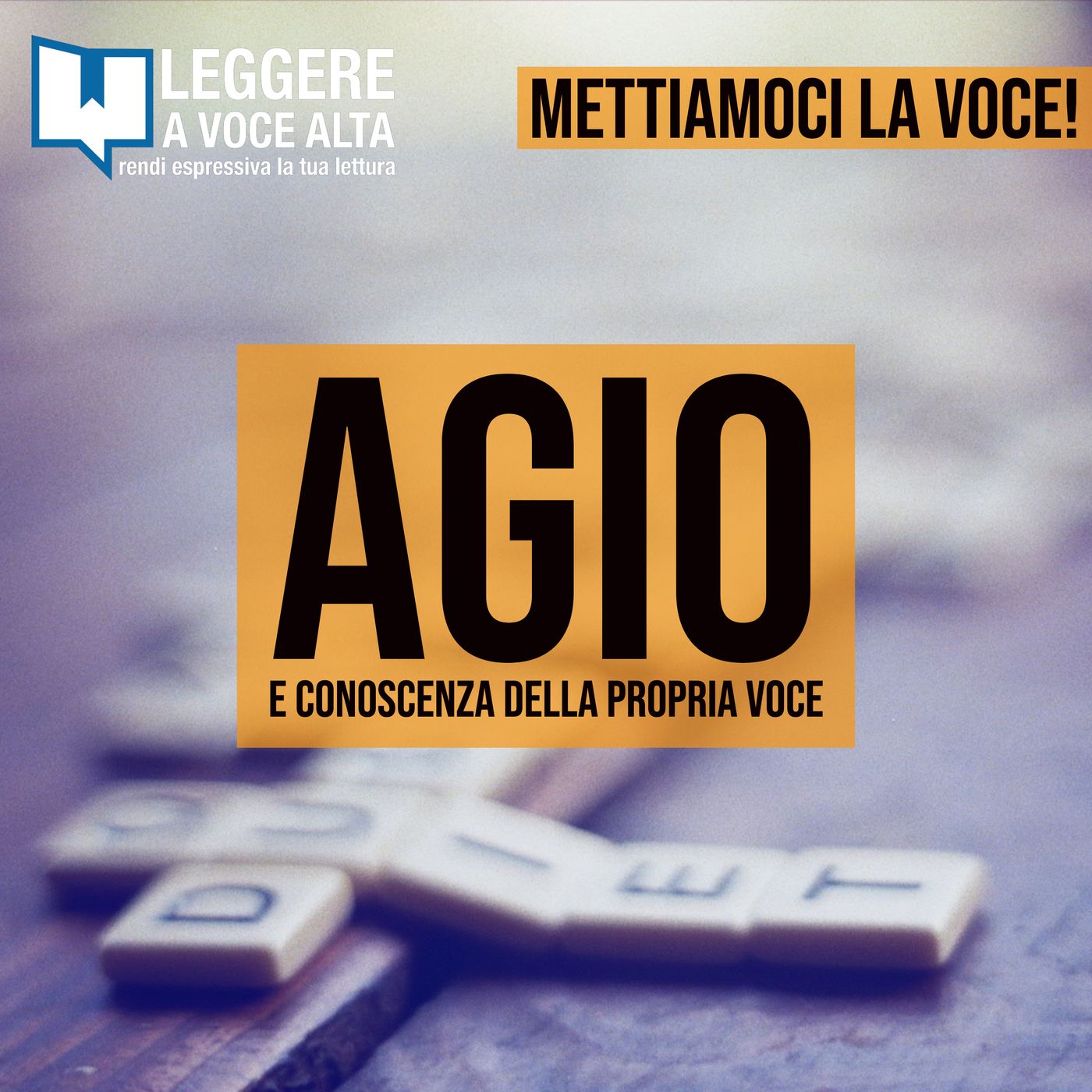 Mettiamoci la Voce