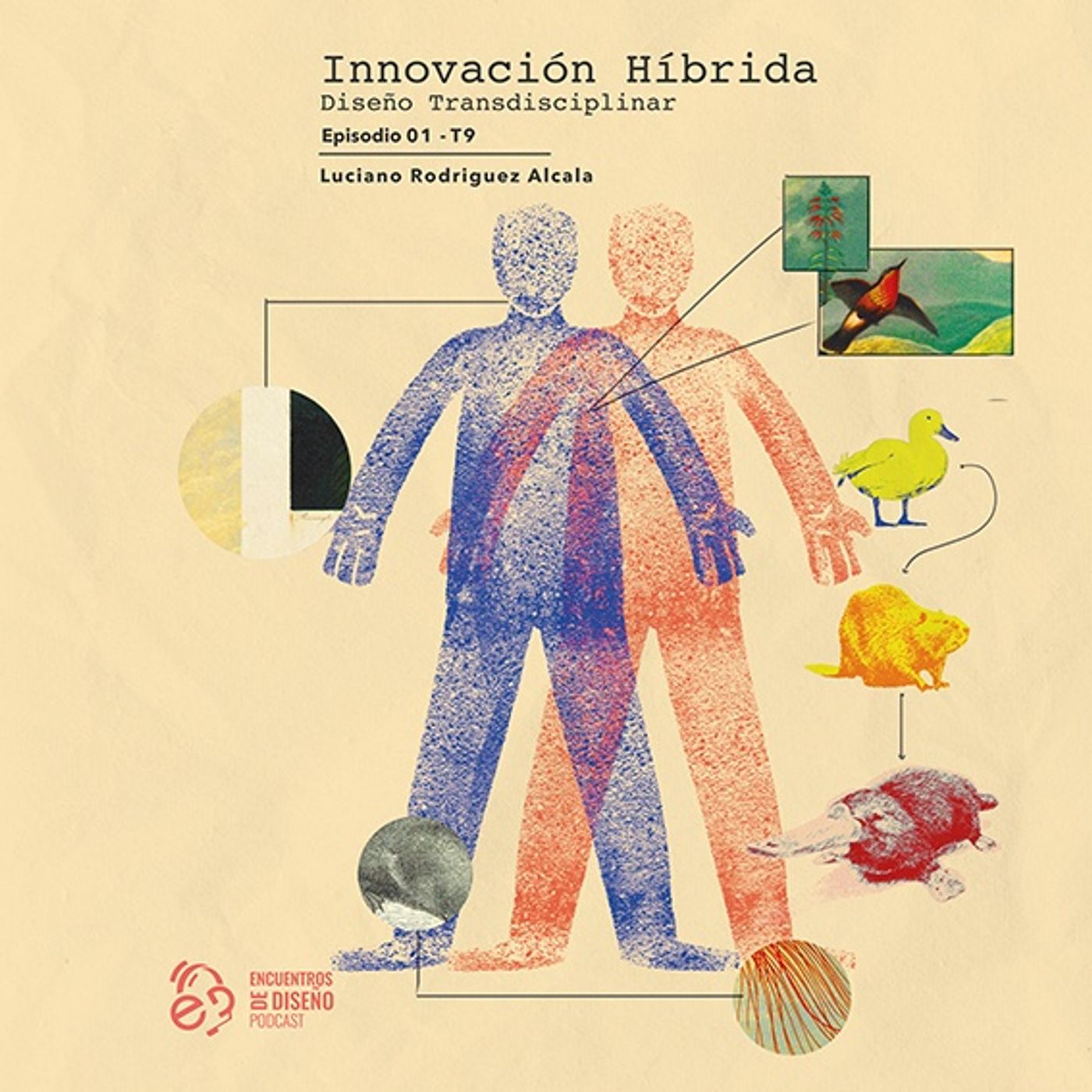 ENCUENTROS DE DISEÑO