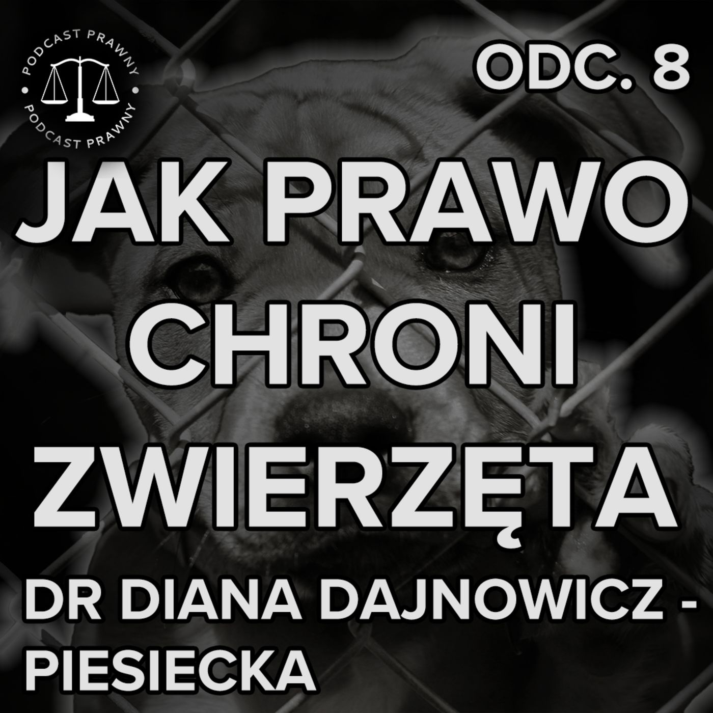 Podcast Prawny