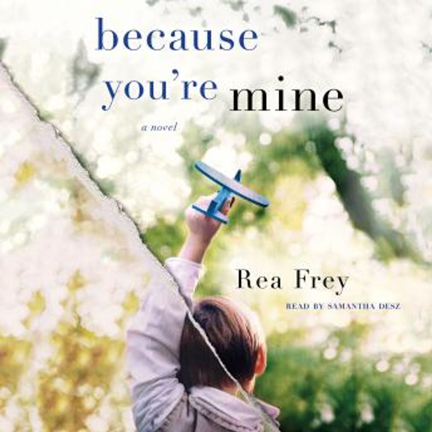 Listen to Top Full Audiobooks in Fiction, Contemporary Women