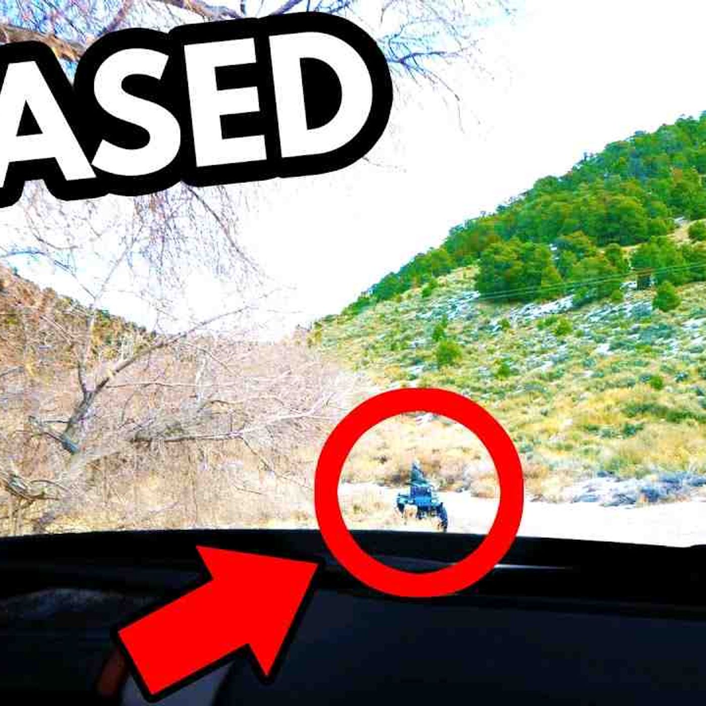 Creepy Man Ruins Our Road Trip To Abandoned Ghost Town In The Middle Of Nowhere Nevada episode artwork