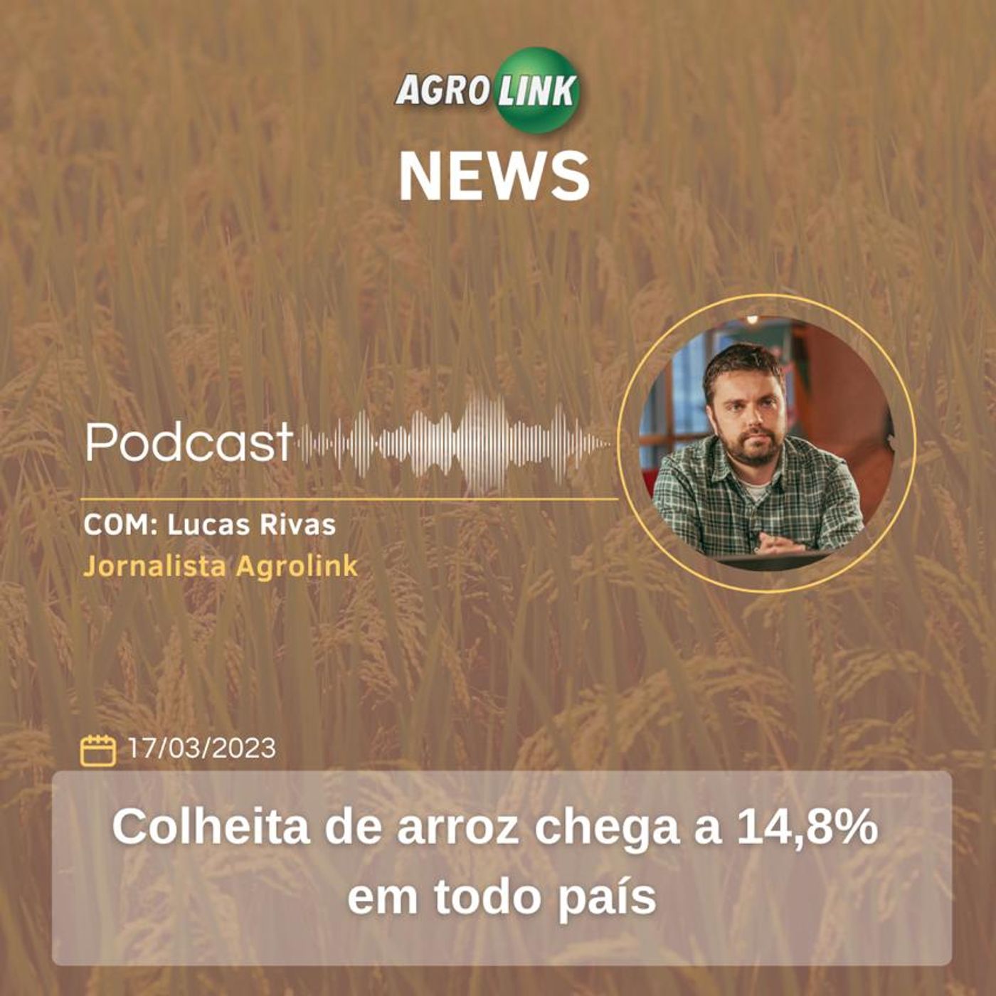 Fevereiro fecha com queda no preço das hortaliças para o consumidor final episode artwork