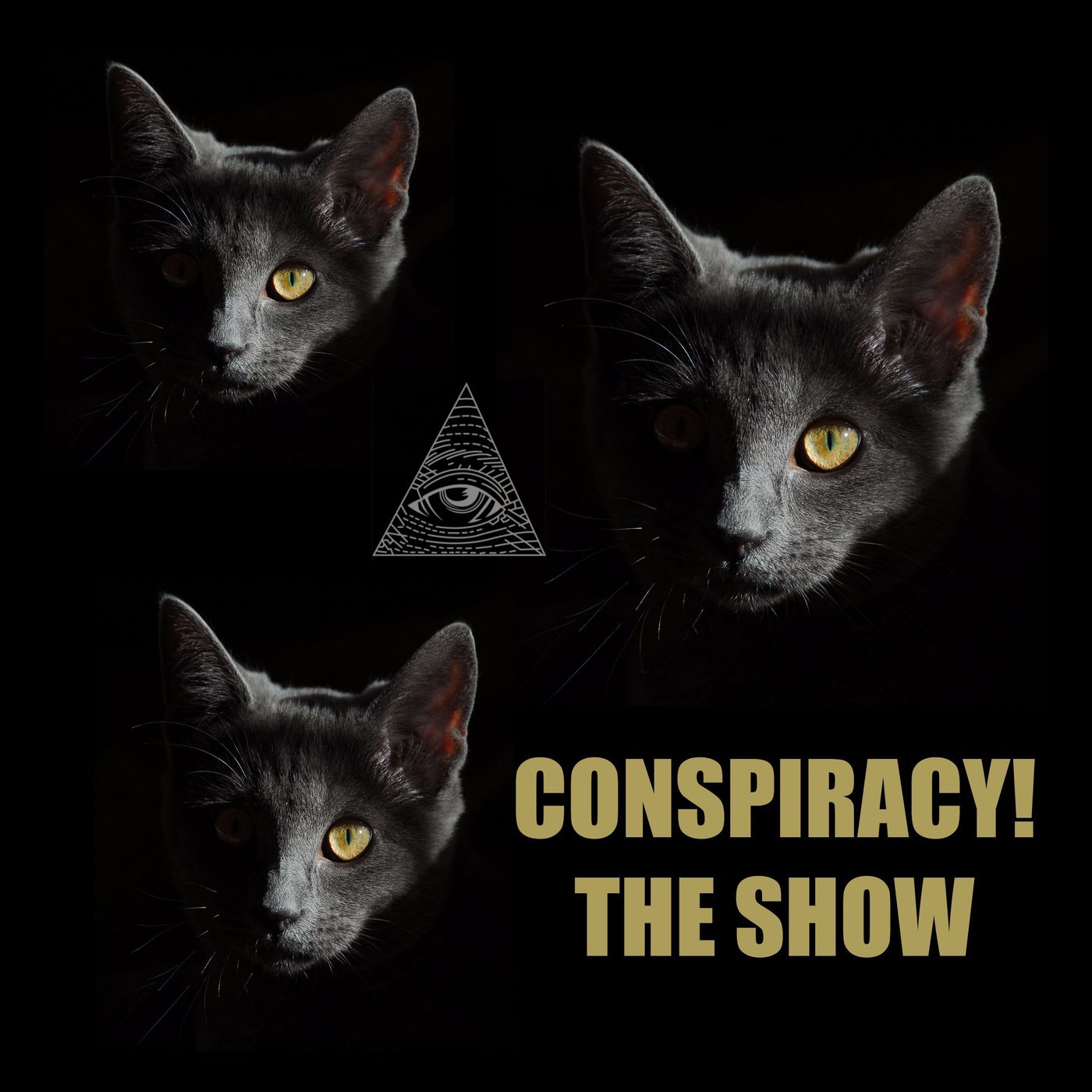Podcast Image