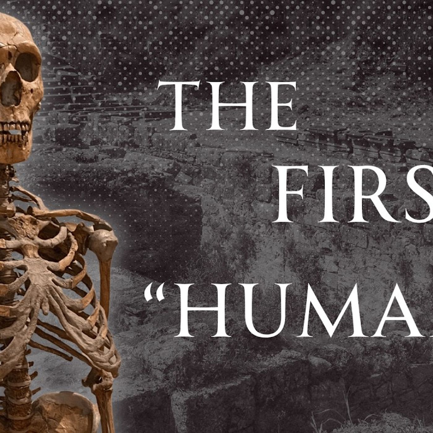 Humanity Before Neanderthals, Human Voiced episode artwork