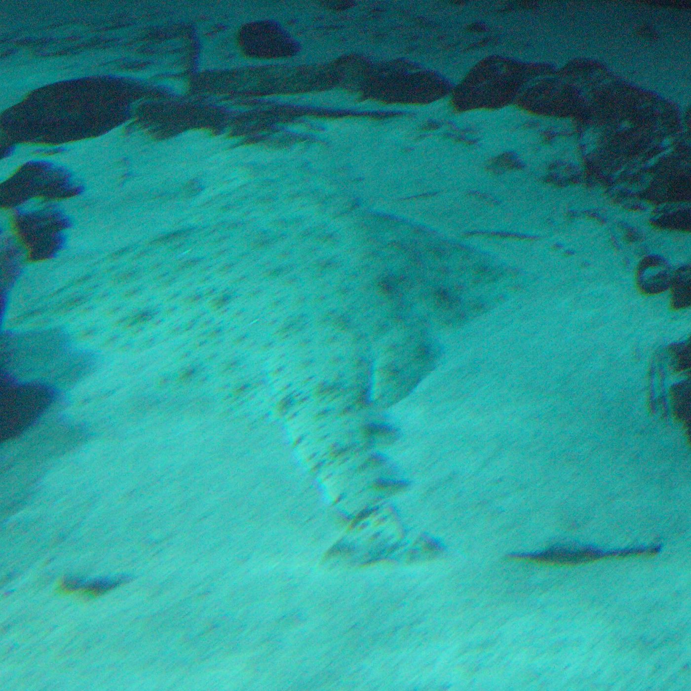 Angel Sharks Episode 1