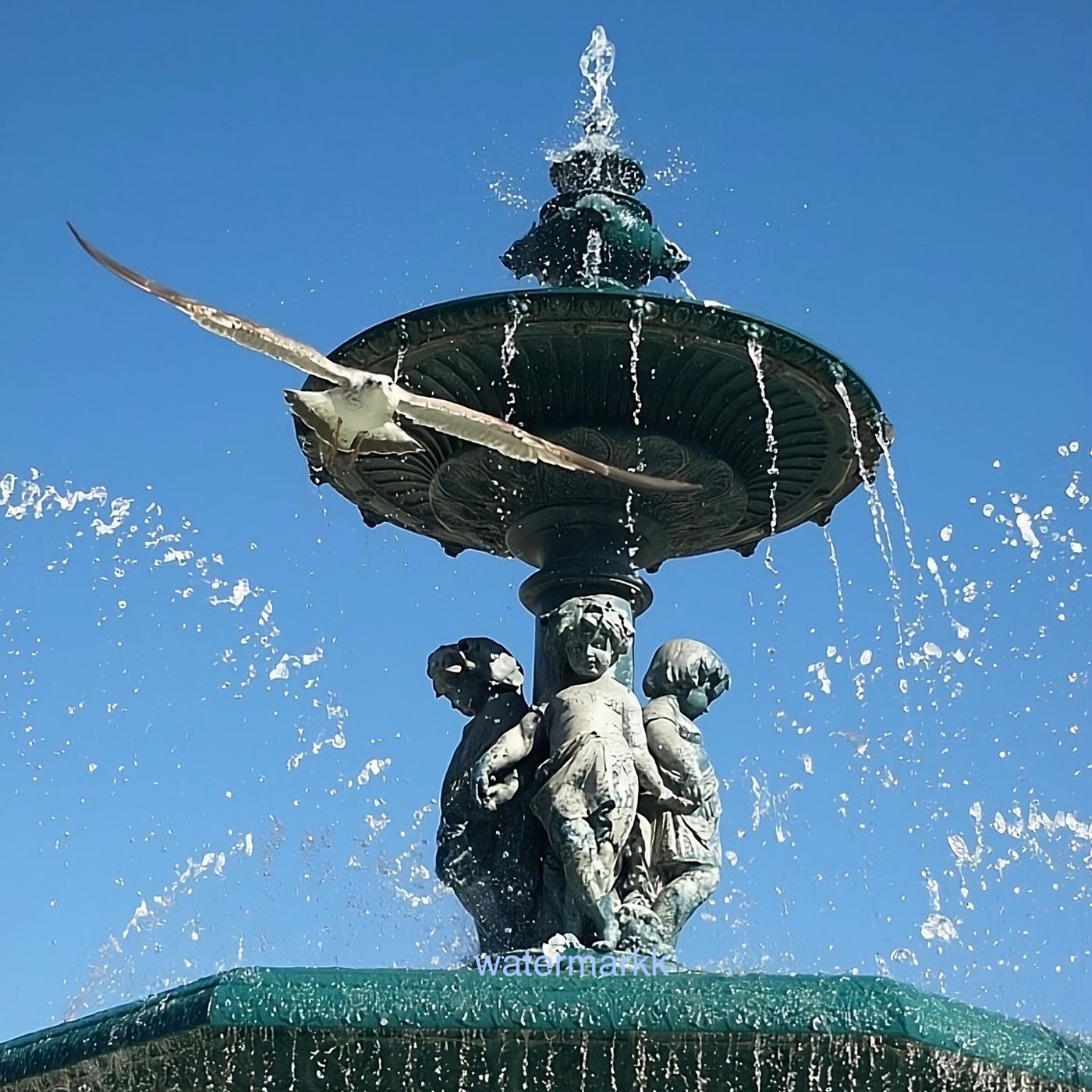 Chico Polaco Leyendo en Español
