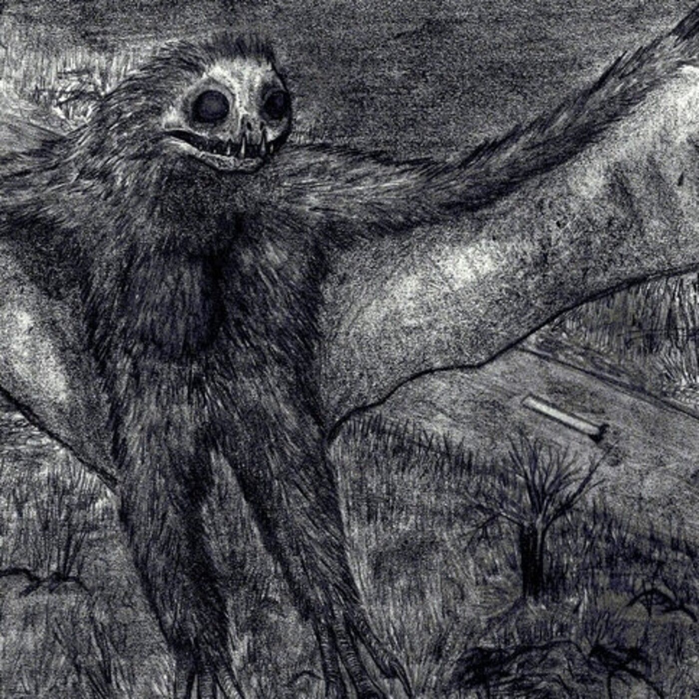 Historias de Miedo Agosto 29 2021 MIEDO EN DOMINGO