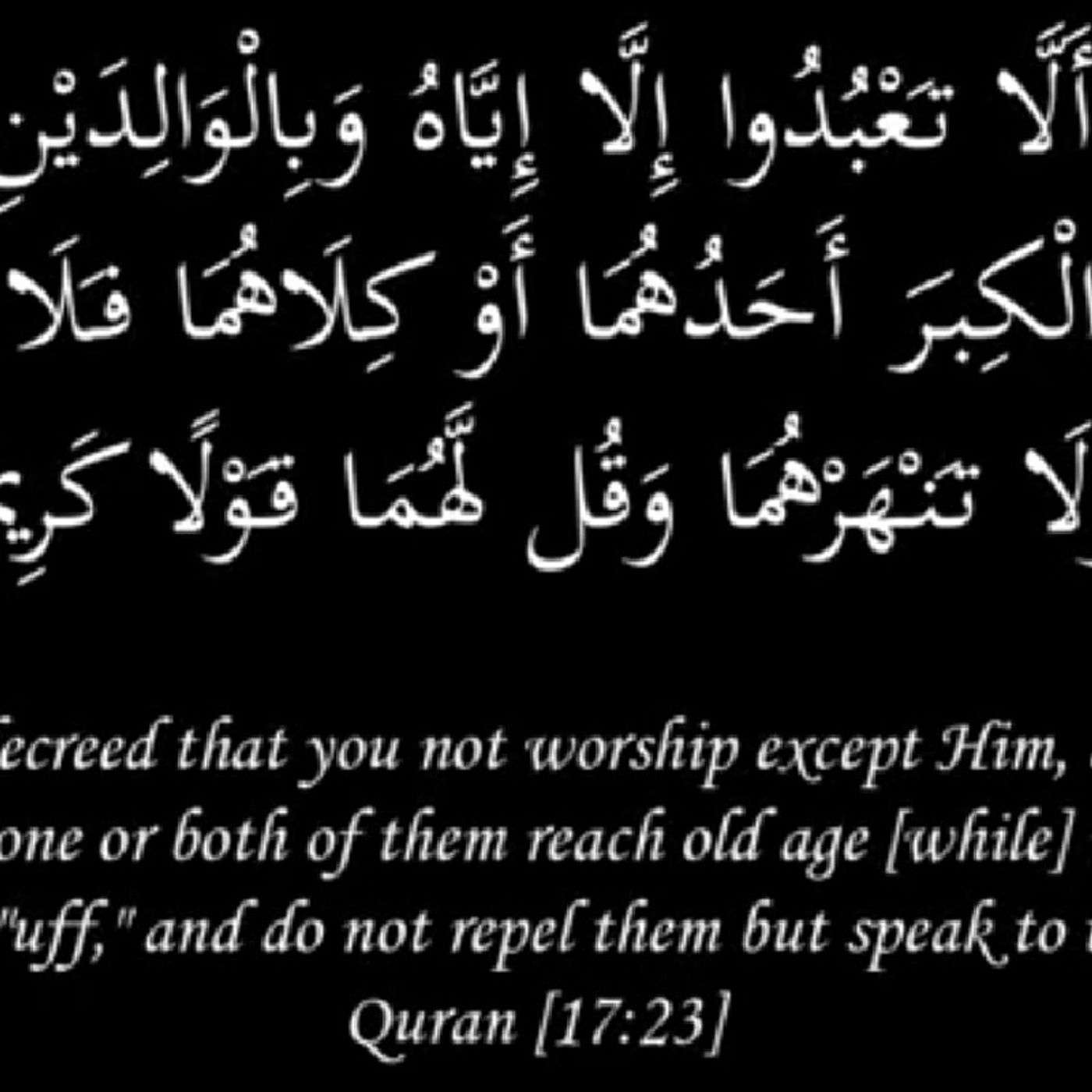 Maisam Jaffry\'s tracks