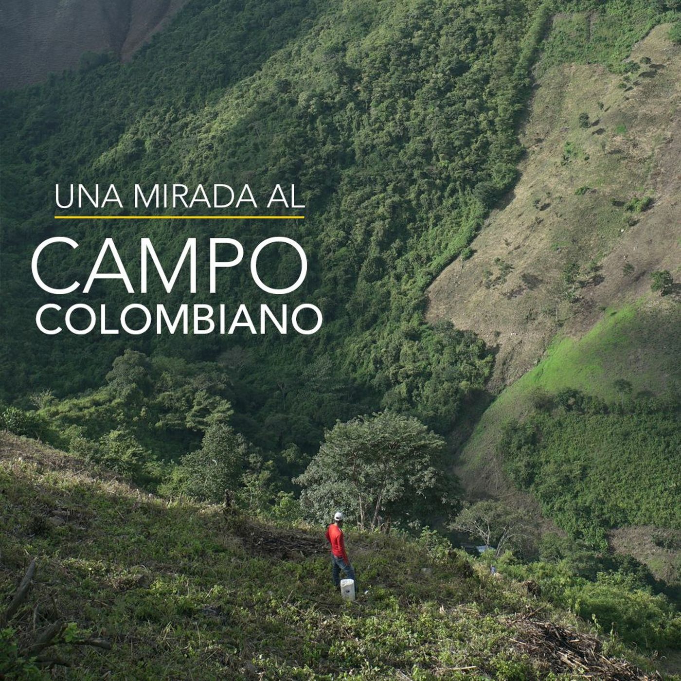 Una mirada al campo colombiano | Desafíos RCN-Javeriana episode artwork