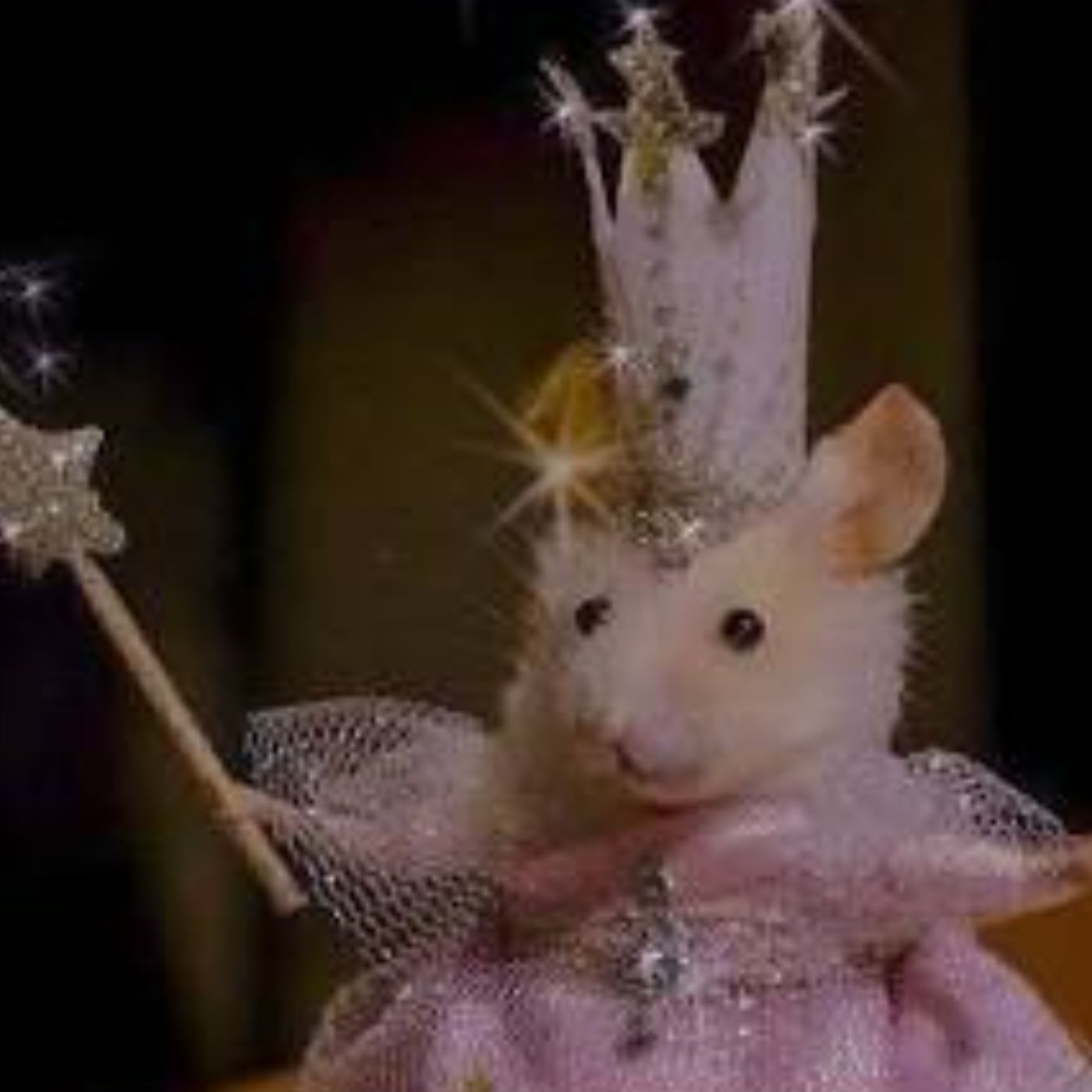 The BonnetPrincess