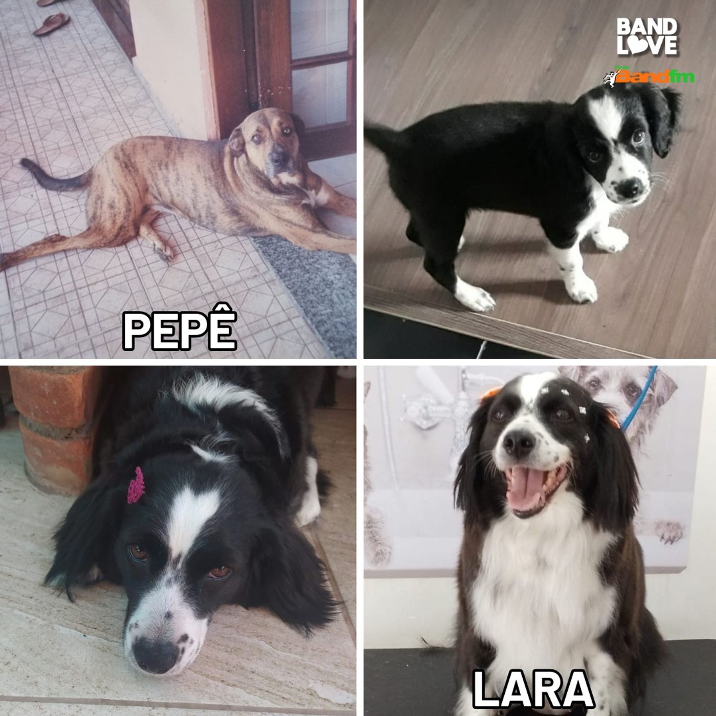 Quem Ama Não Esquece