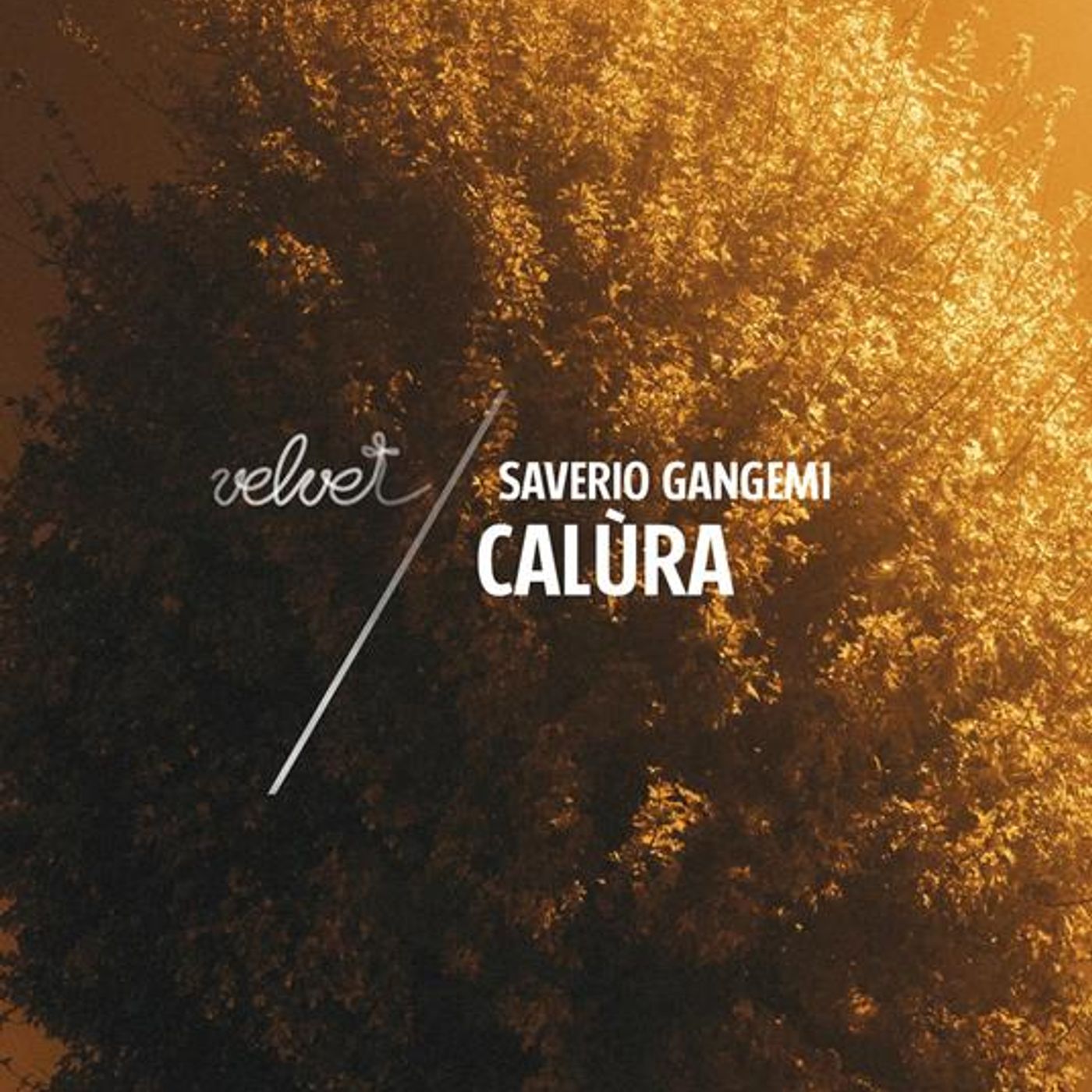 Saverio Gangemi "Calura" Saverio Gangemi "Calura"