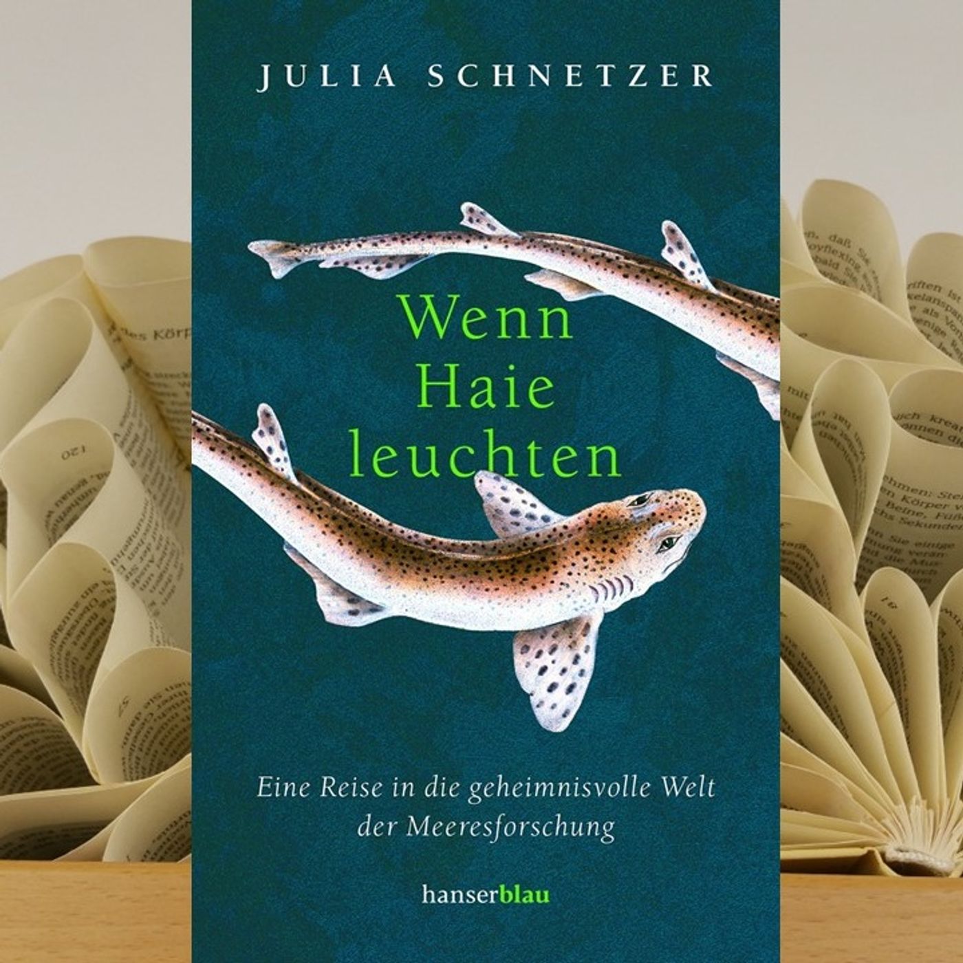 LesBar im Stern-Zimmer