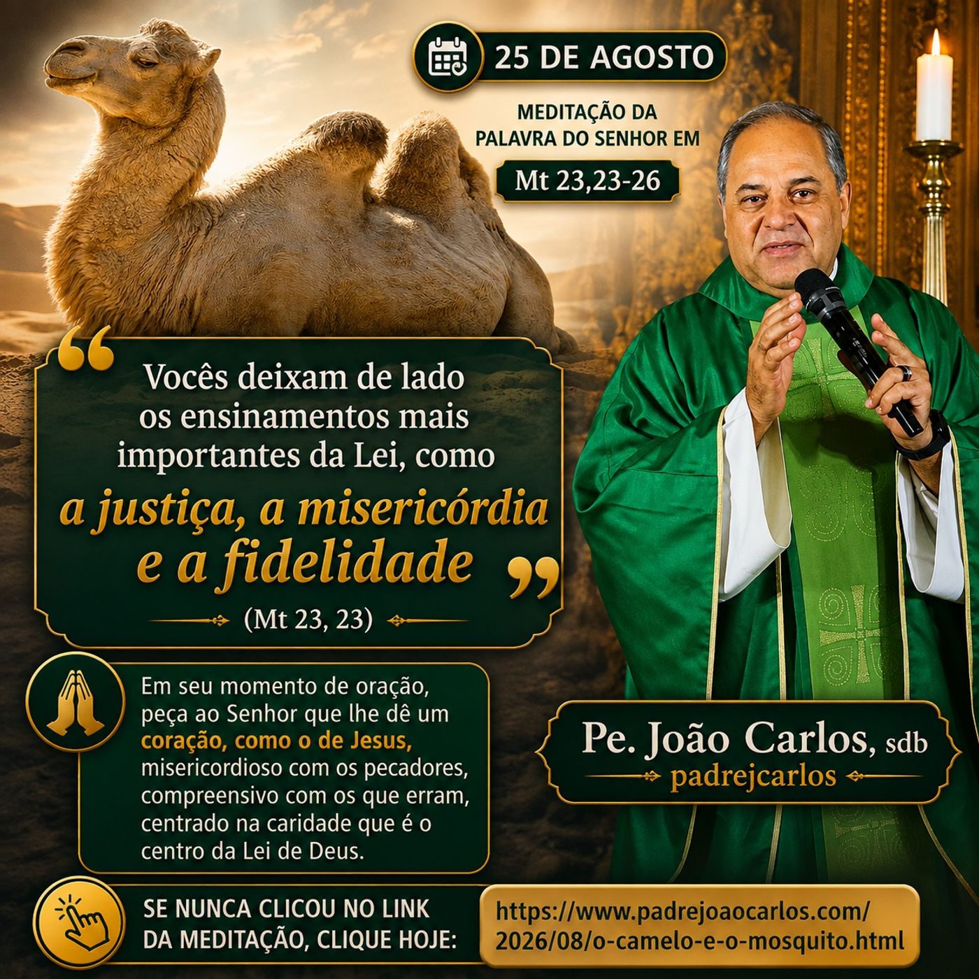 25 de Agosto - Meditação da Palavra do Senhor