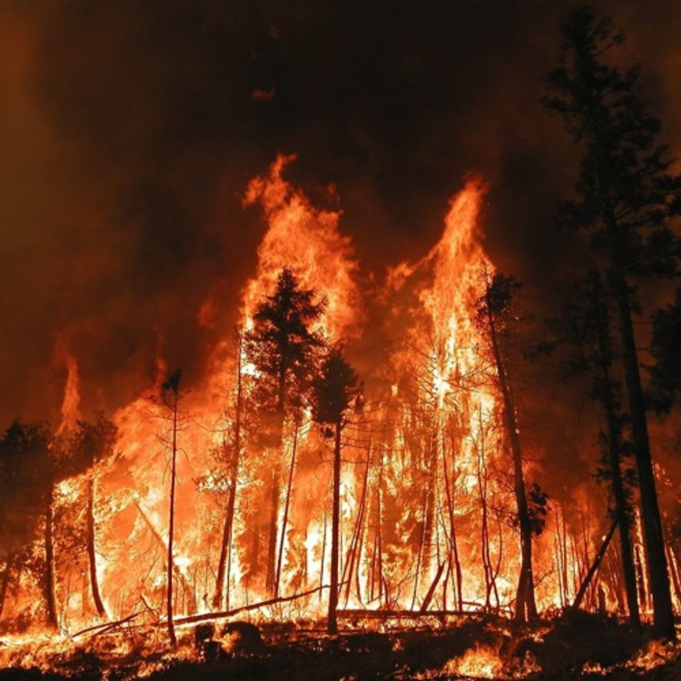Federal Government Blazes Ahead On Comprehensive Fire Management Plan episode artwork