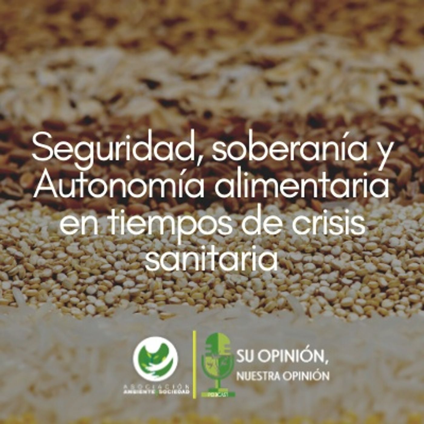 Ambiente y Sociedad