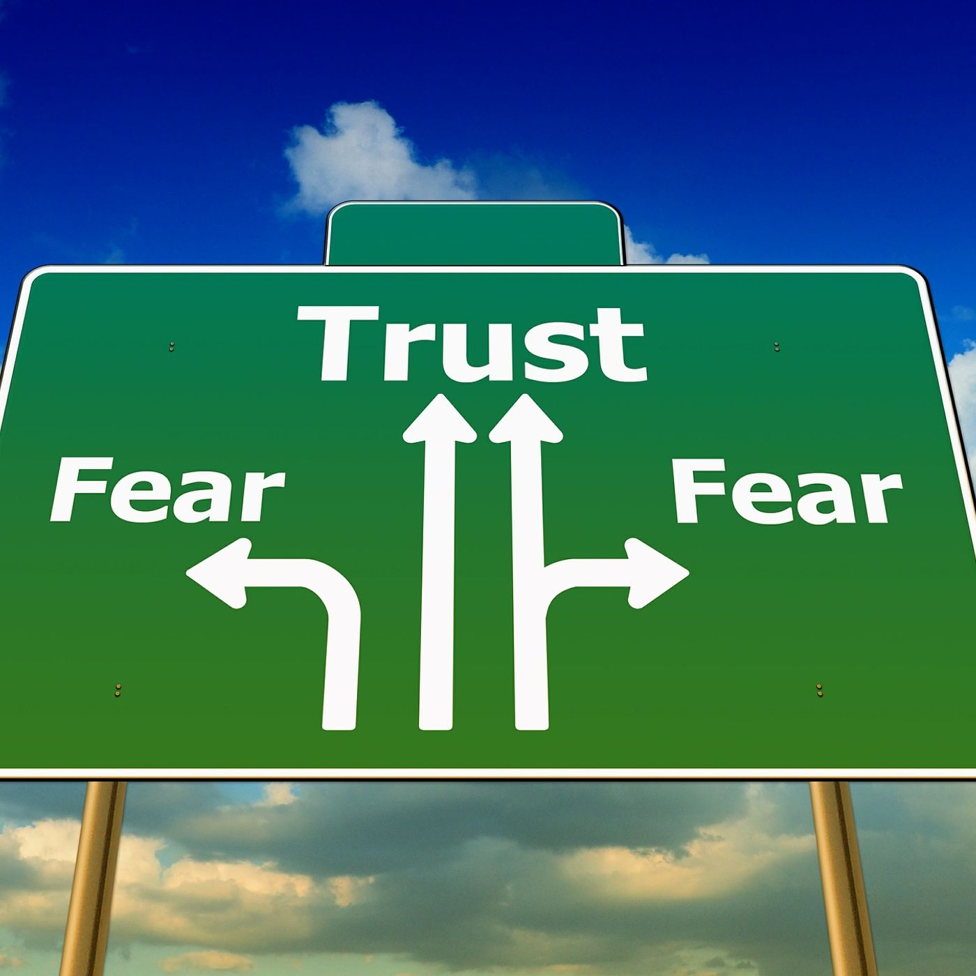 Episode 33 The Inability to Trust Wreak's Havoc