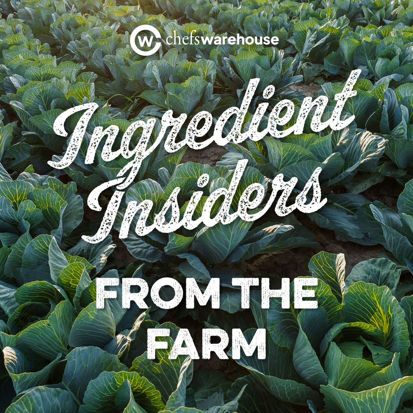 116. Cabbage & Celery: Sean Hayes of Coke Farm | From the Farm