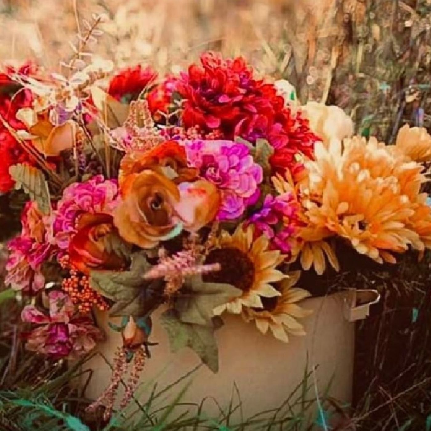 PROPHET DANIEL SAMAYE