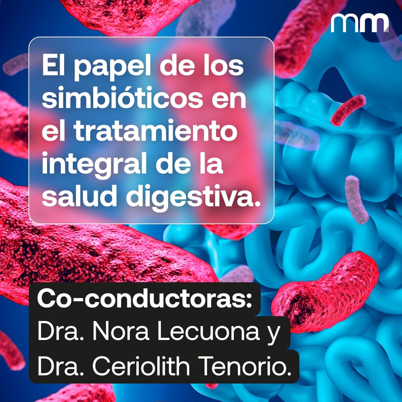 El papel de los simbióticos en el tratamiento integral de la salud digestiva.