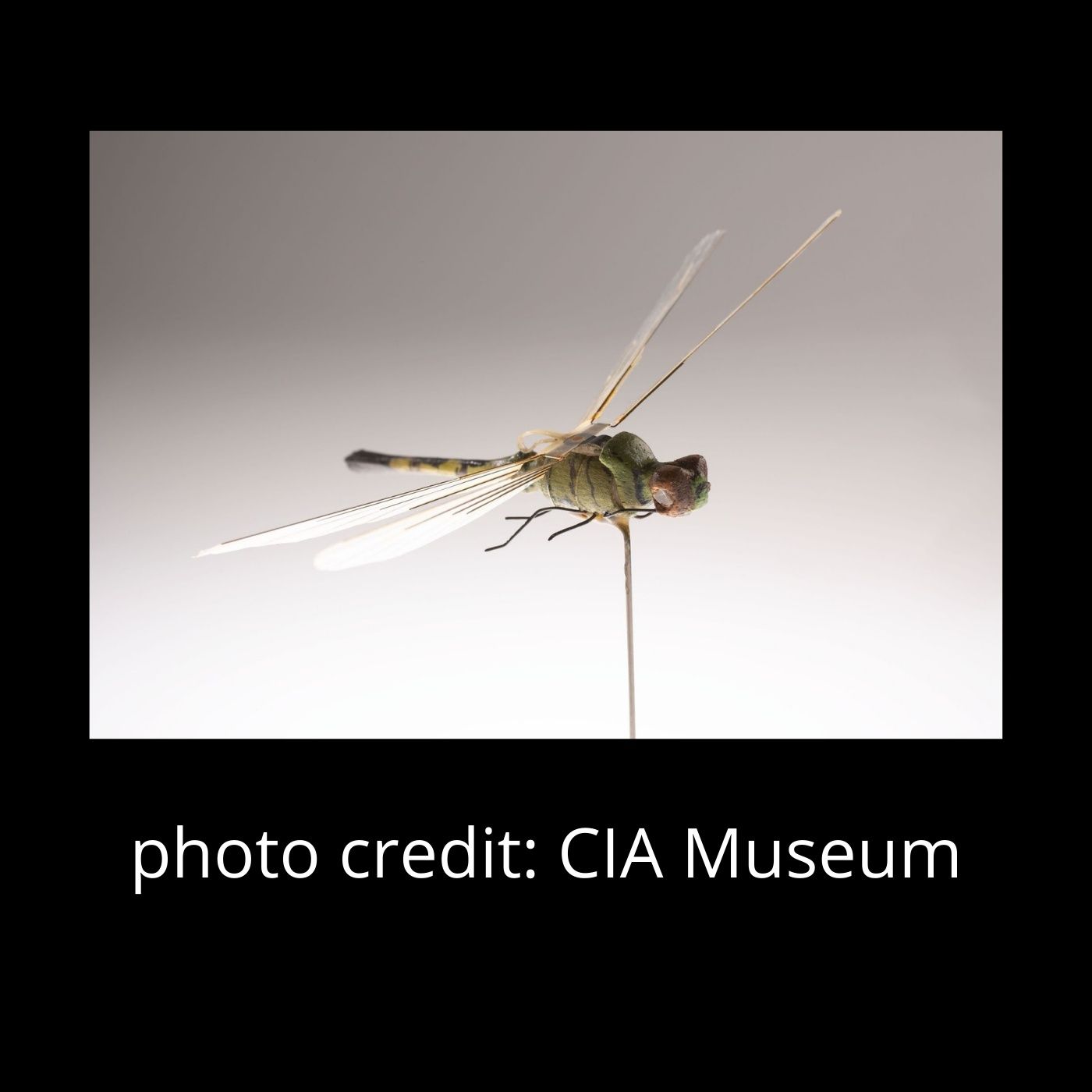 THE INSECTOHOPTER- UNMANNED AERIAL VEHICLE episode artwork