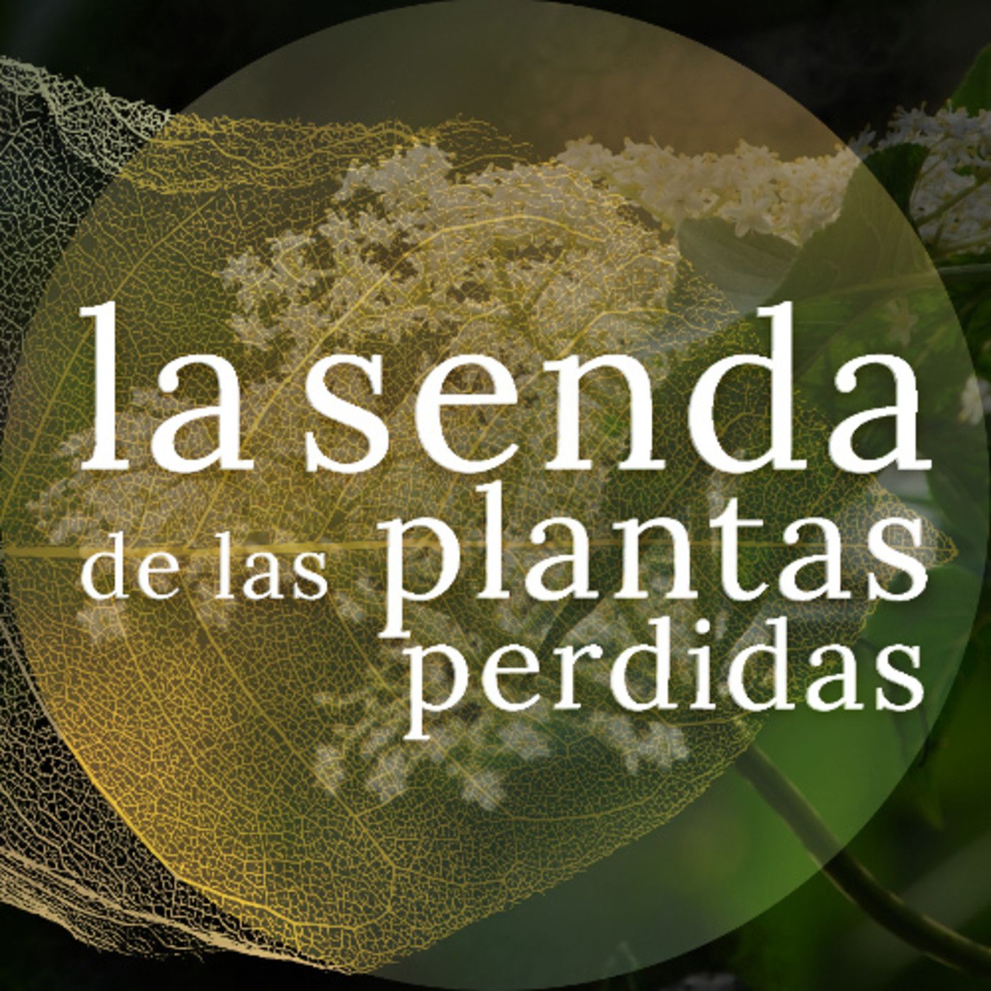 La Senda de las Plantas Perdidas
