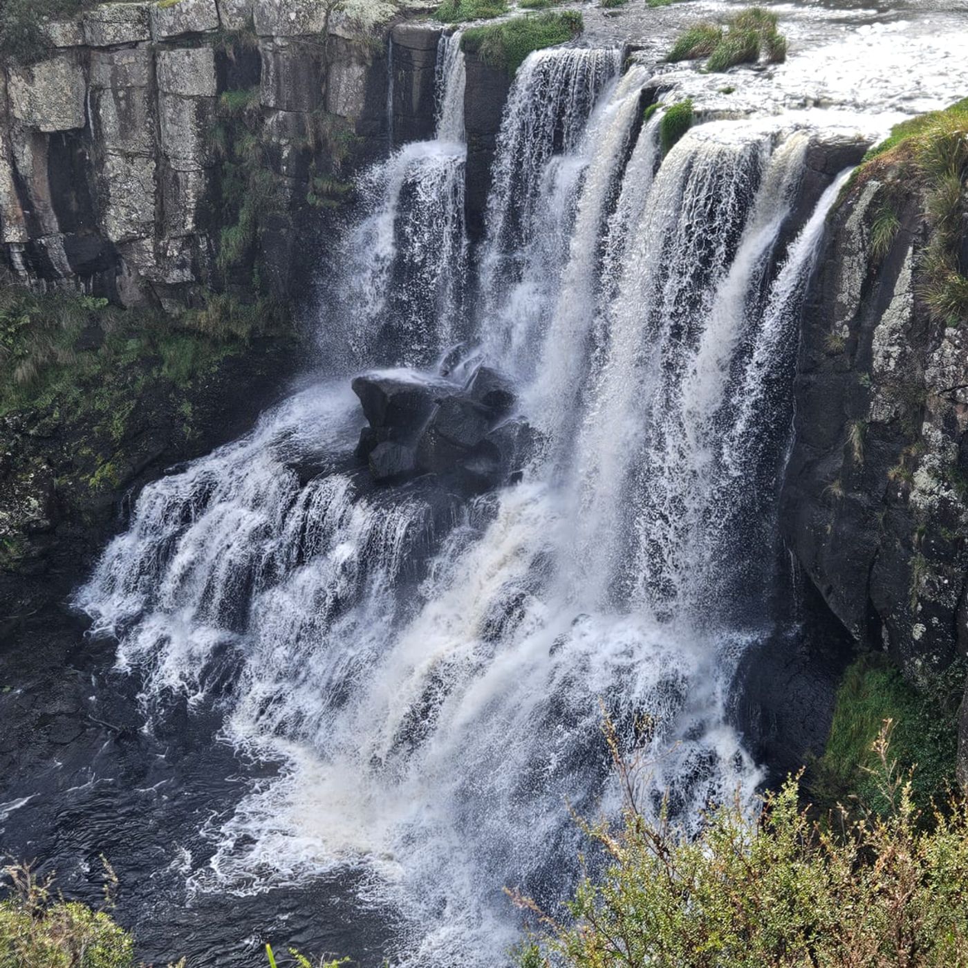 Monthly Training Days