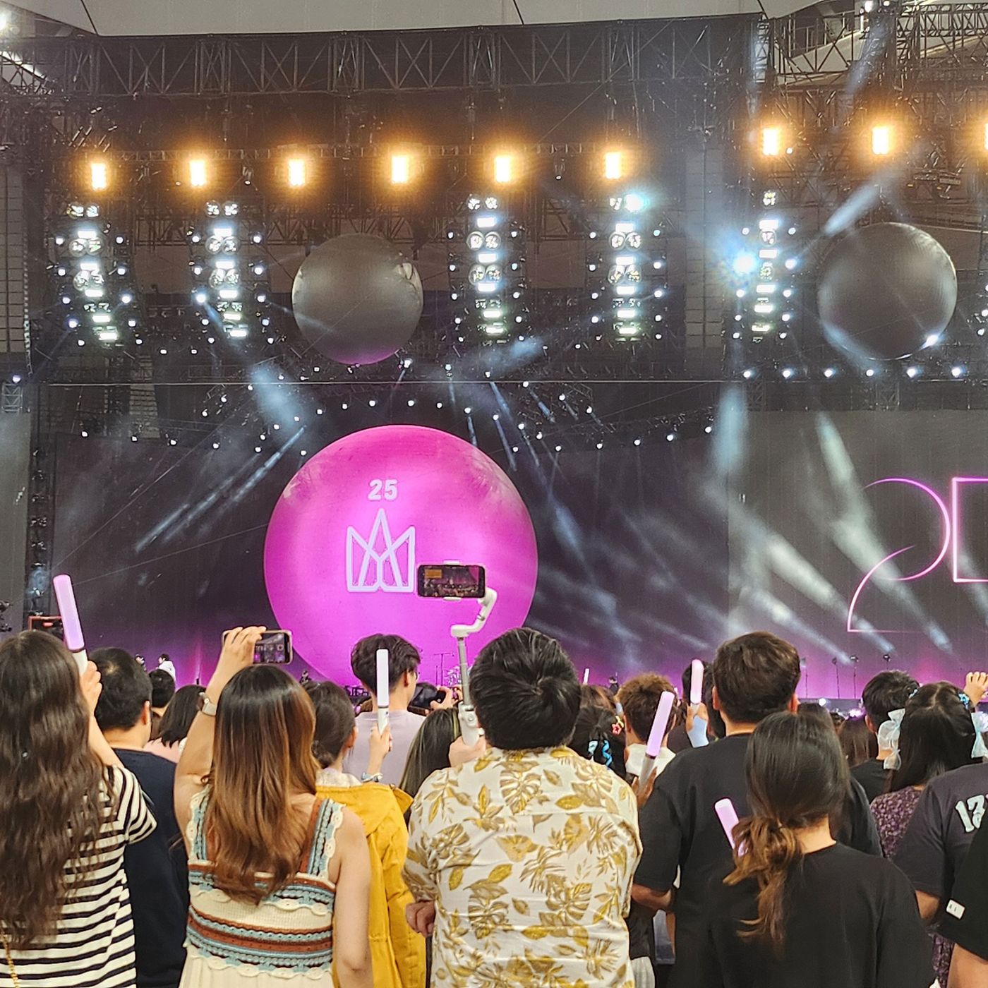 Concert craze of 2024