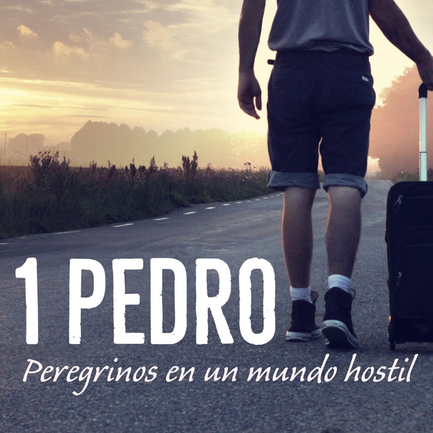 Sabiduría para el Corazón