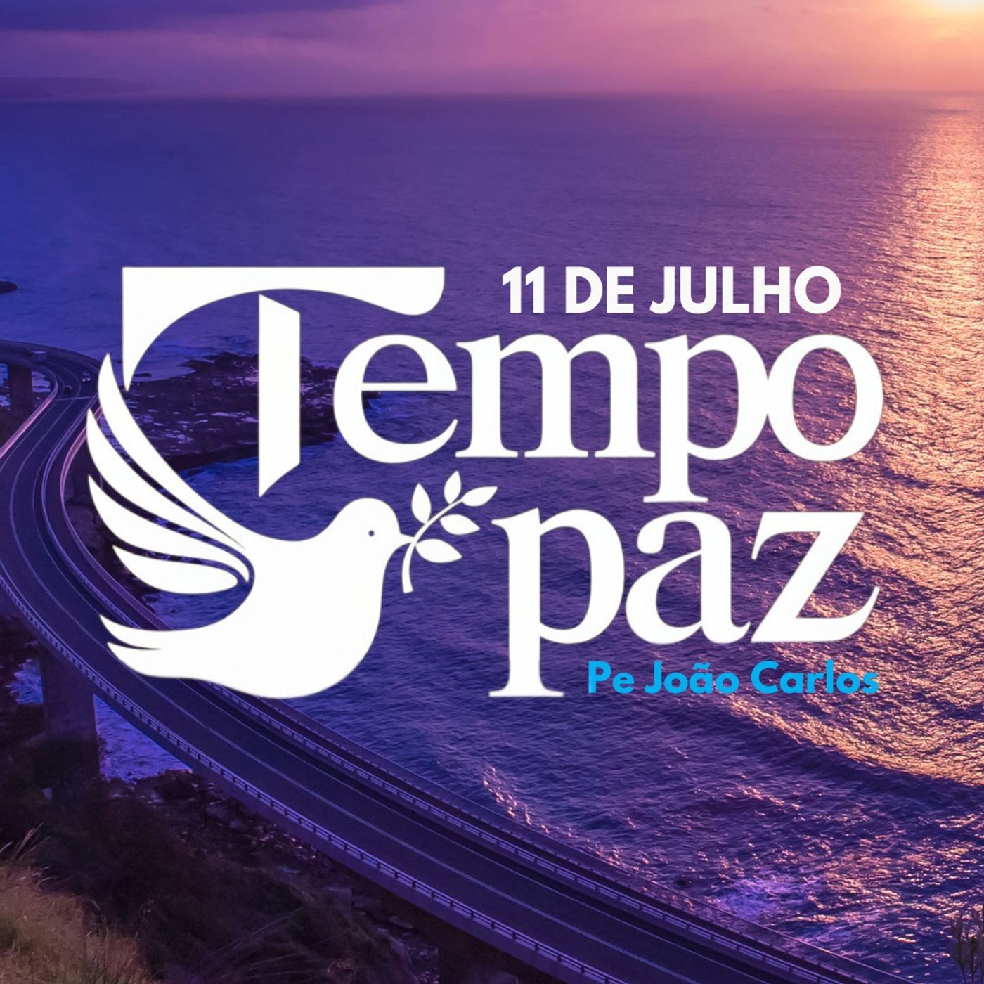 Pe. João Carlos - Meditação da Palavra